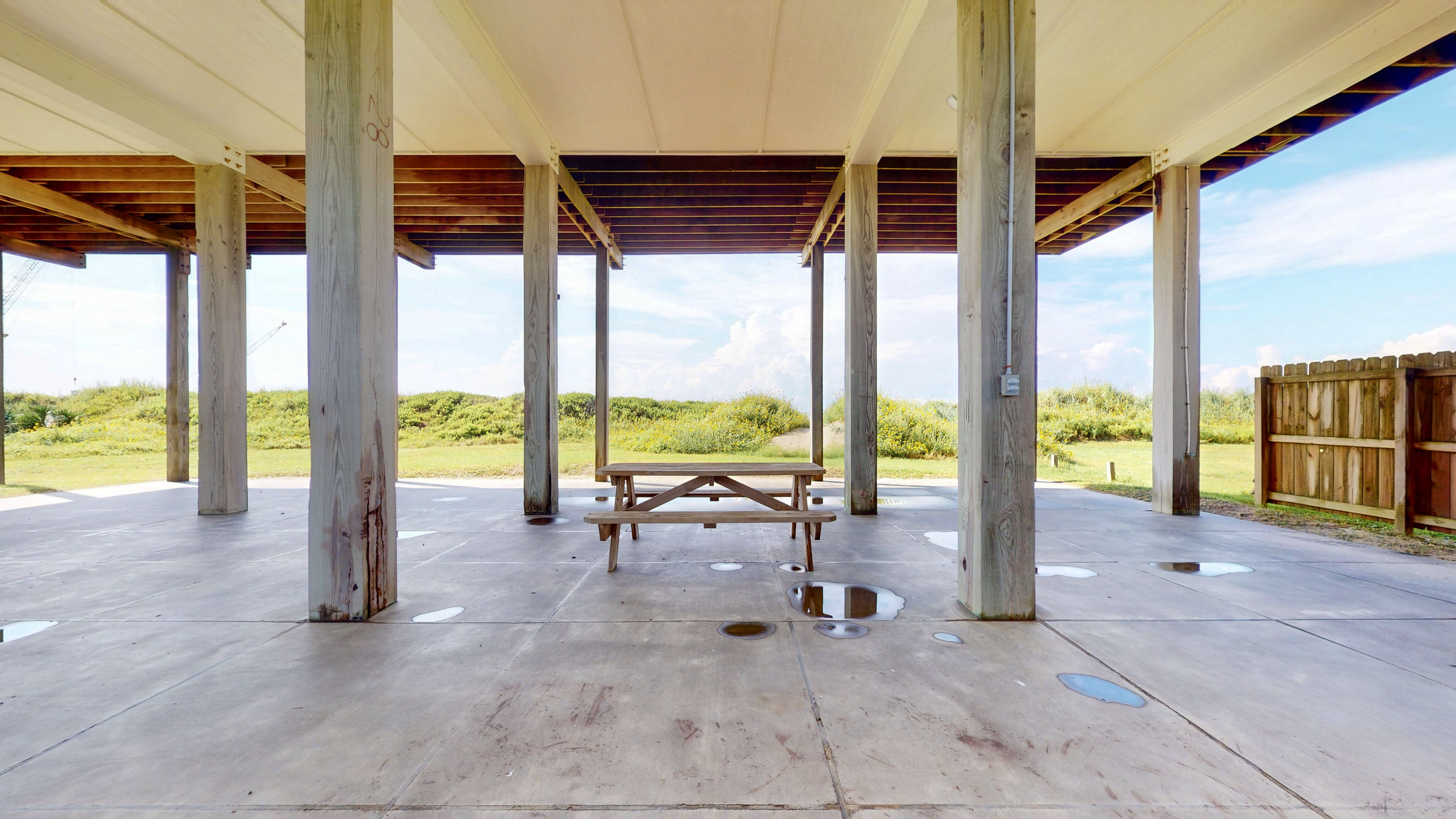 Lavender Rays | Photo 30