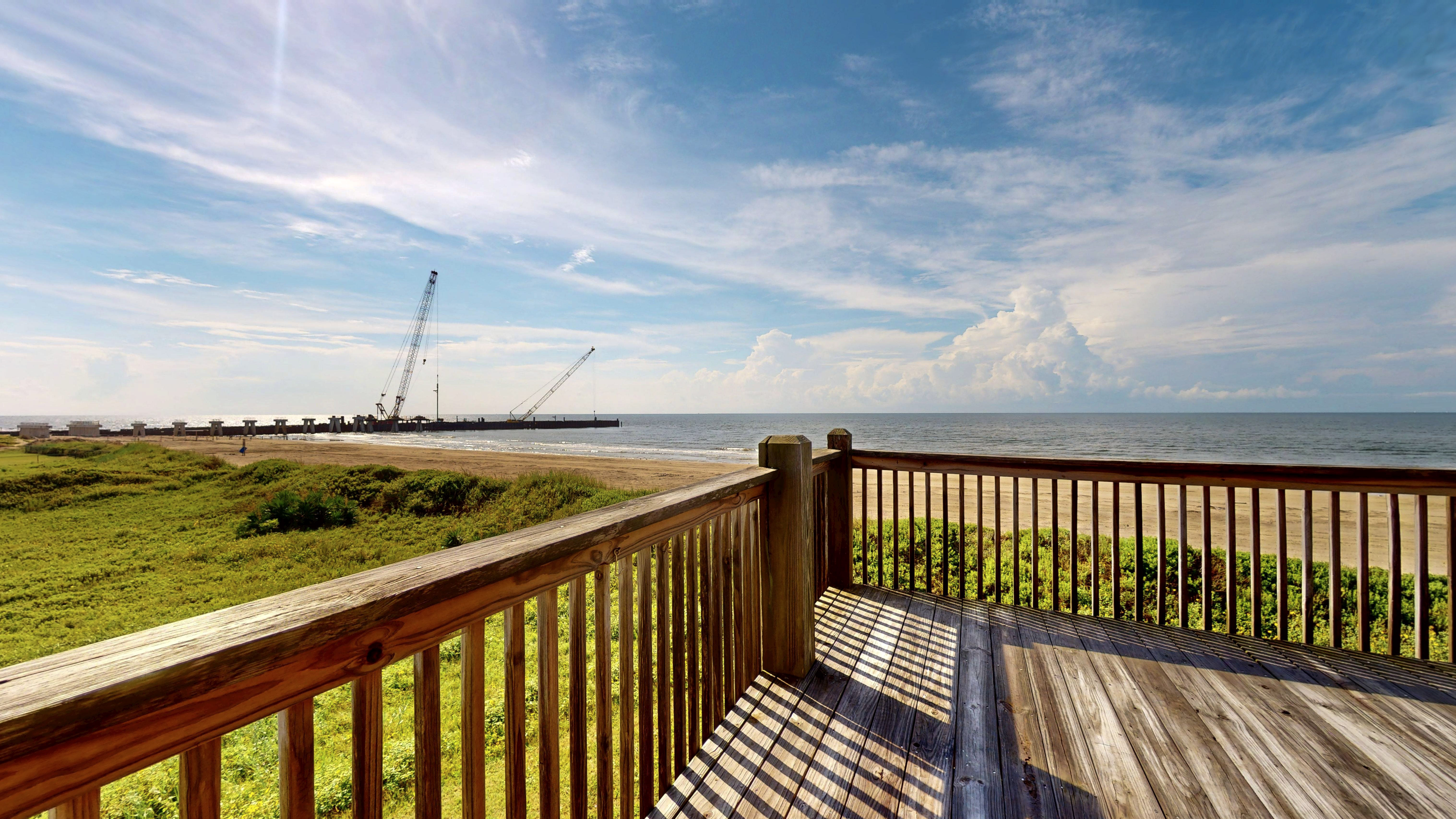 Lavender Rays | Photo 10