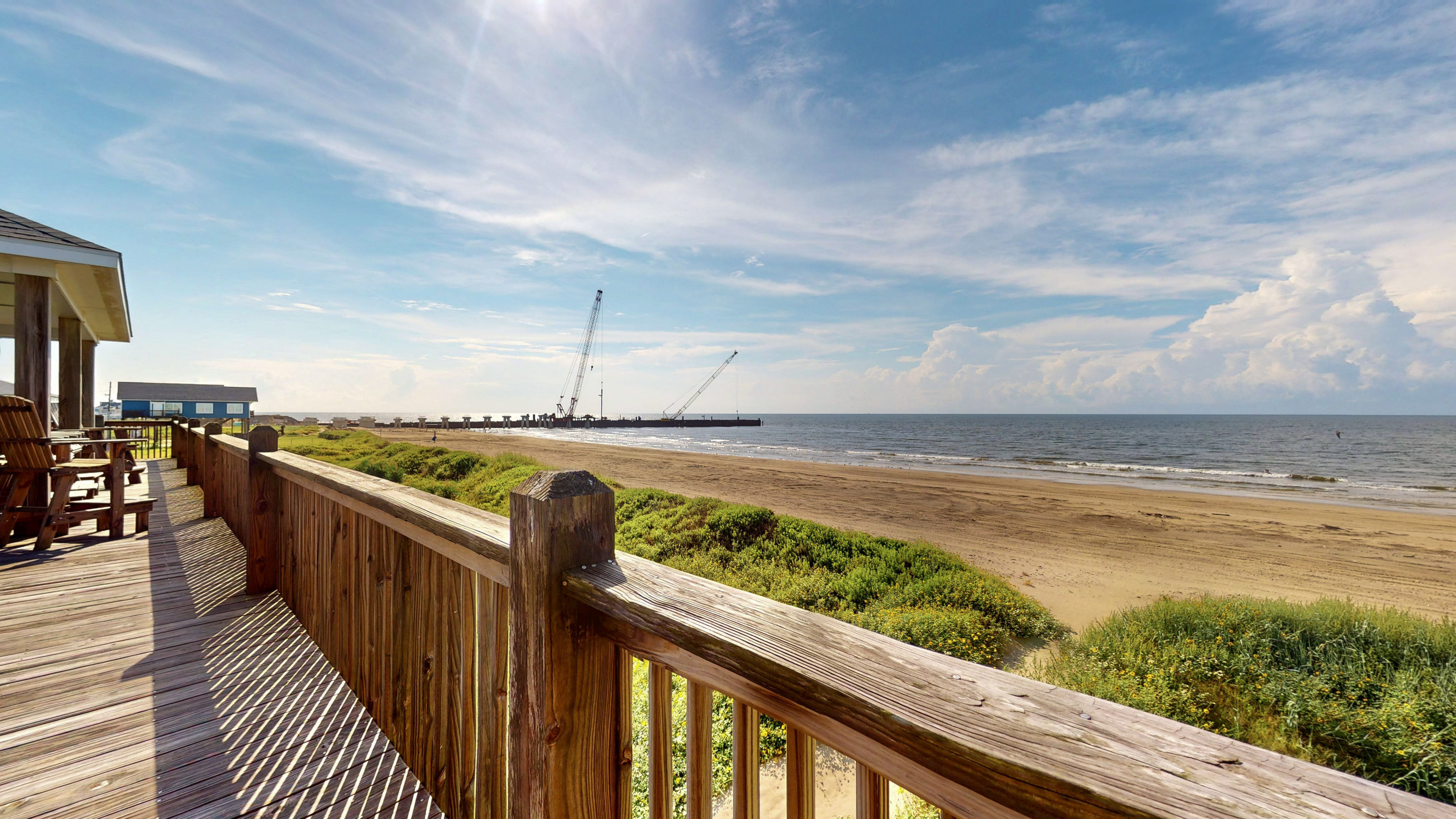 Lavender Rays | Photo 12