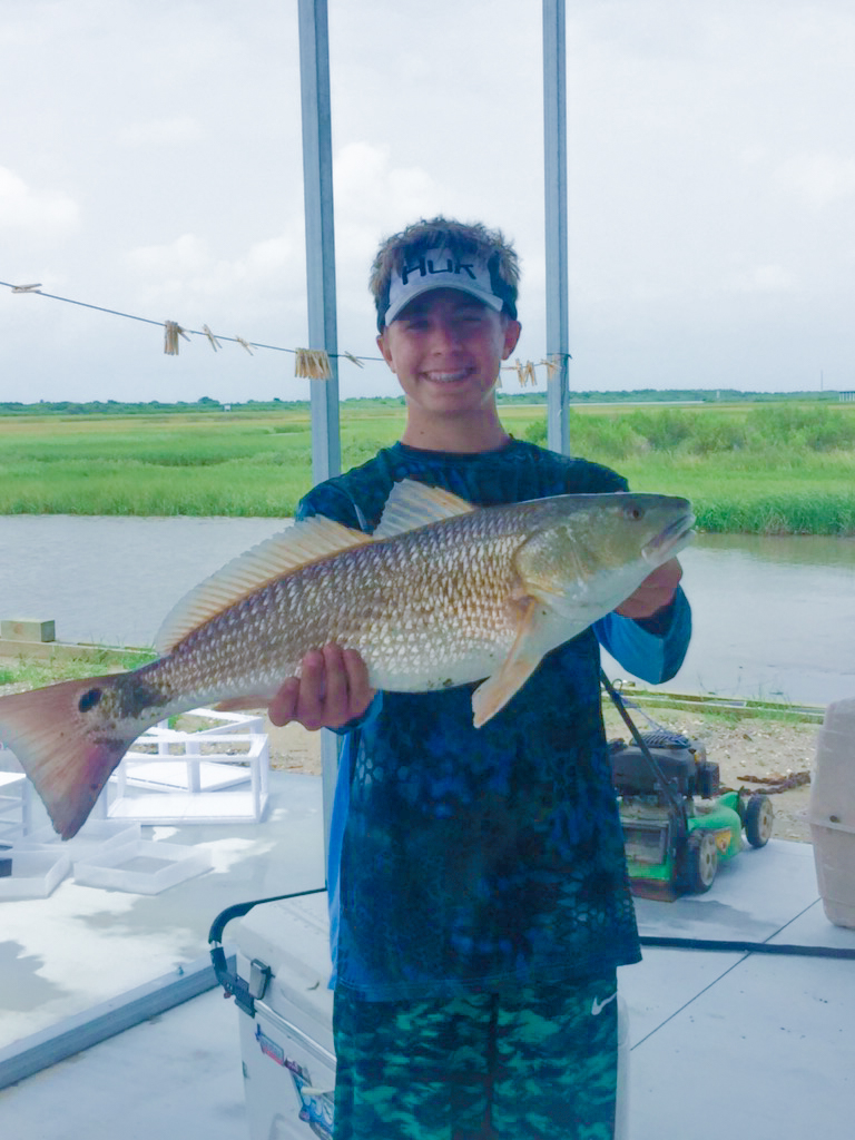 Rays a Hallelujah | Photo 3