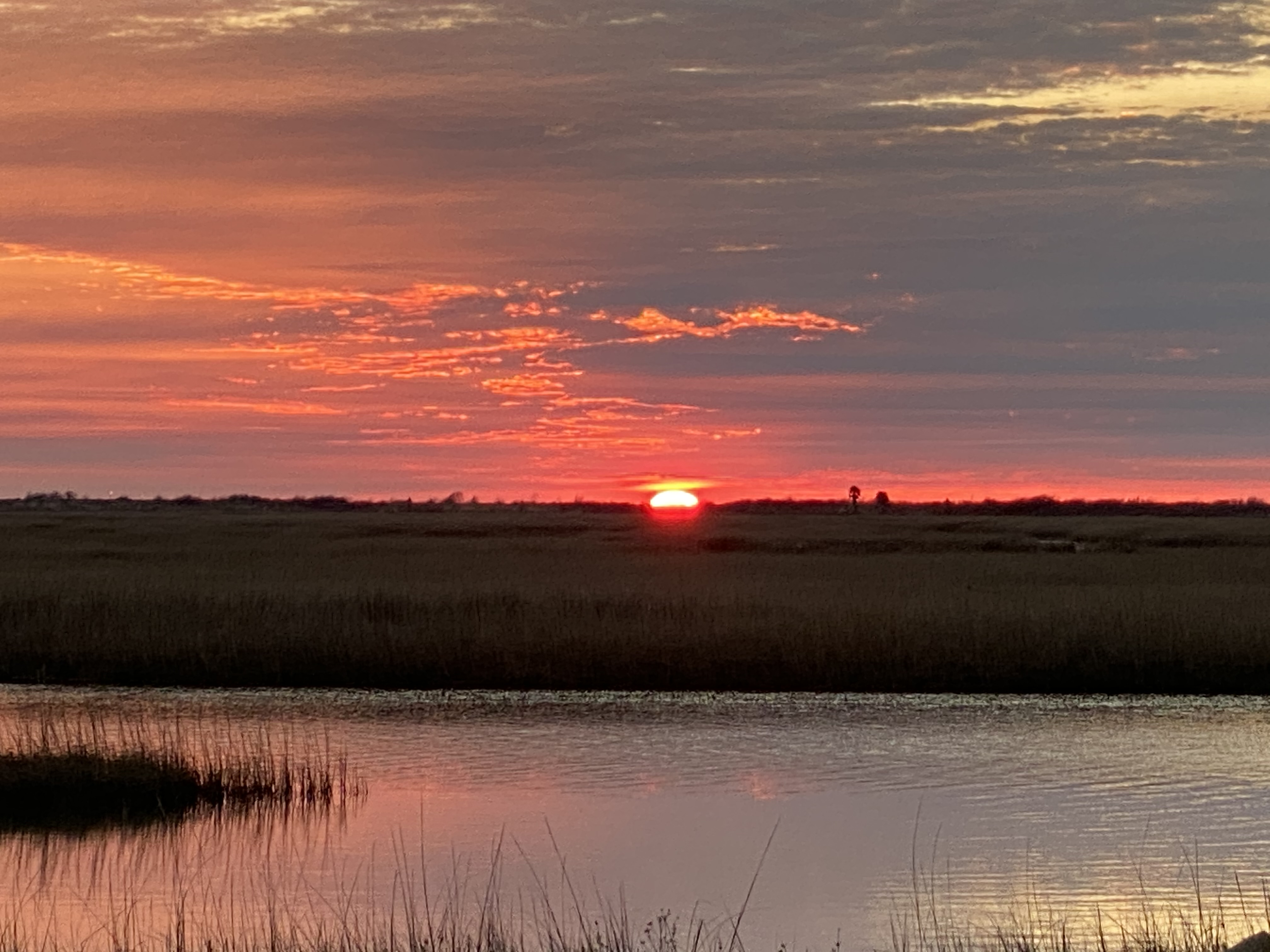 Rays a Hallelujah | Photo 4