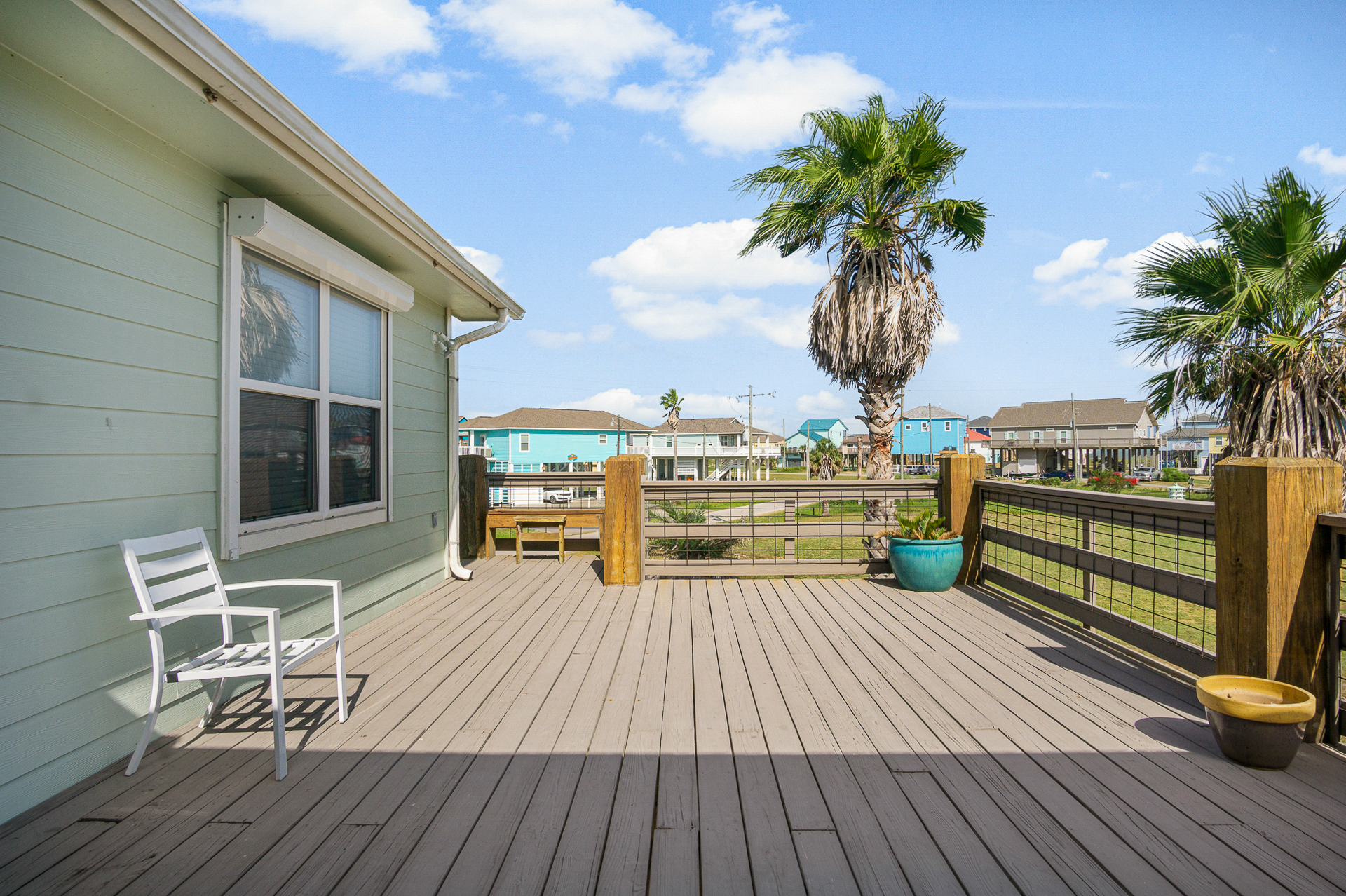 The Regal Beagle | Photo 4