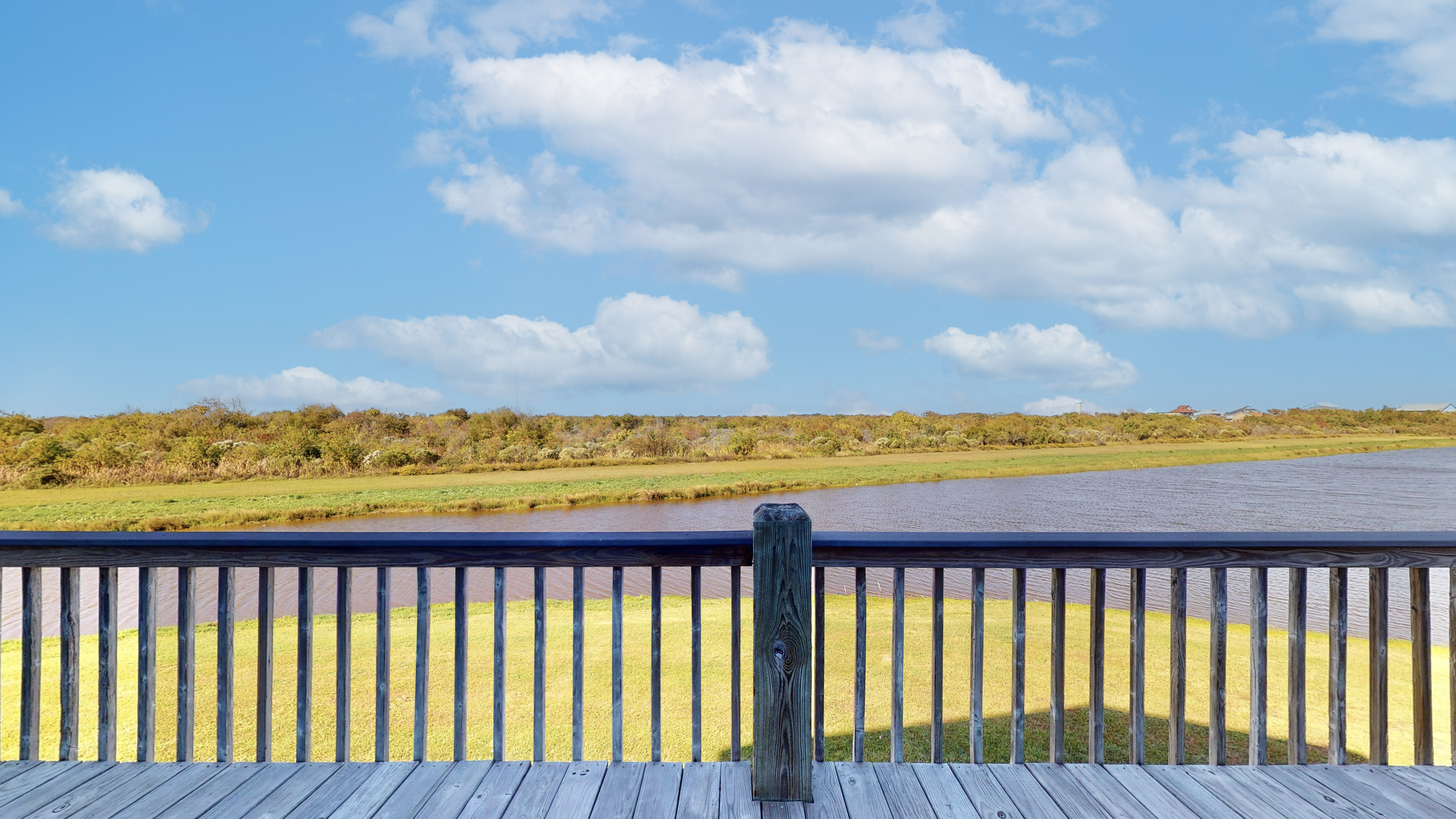 Biscayne Seaglass | Photo 5