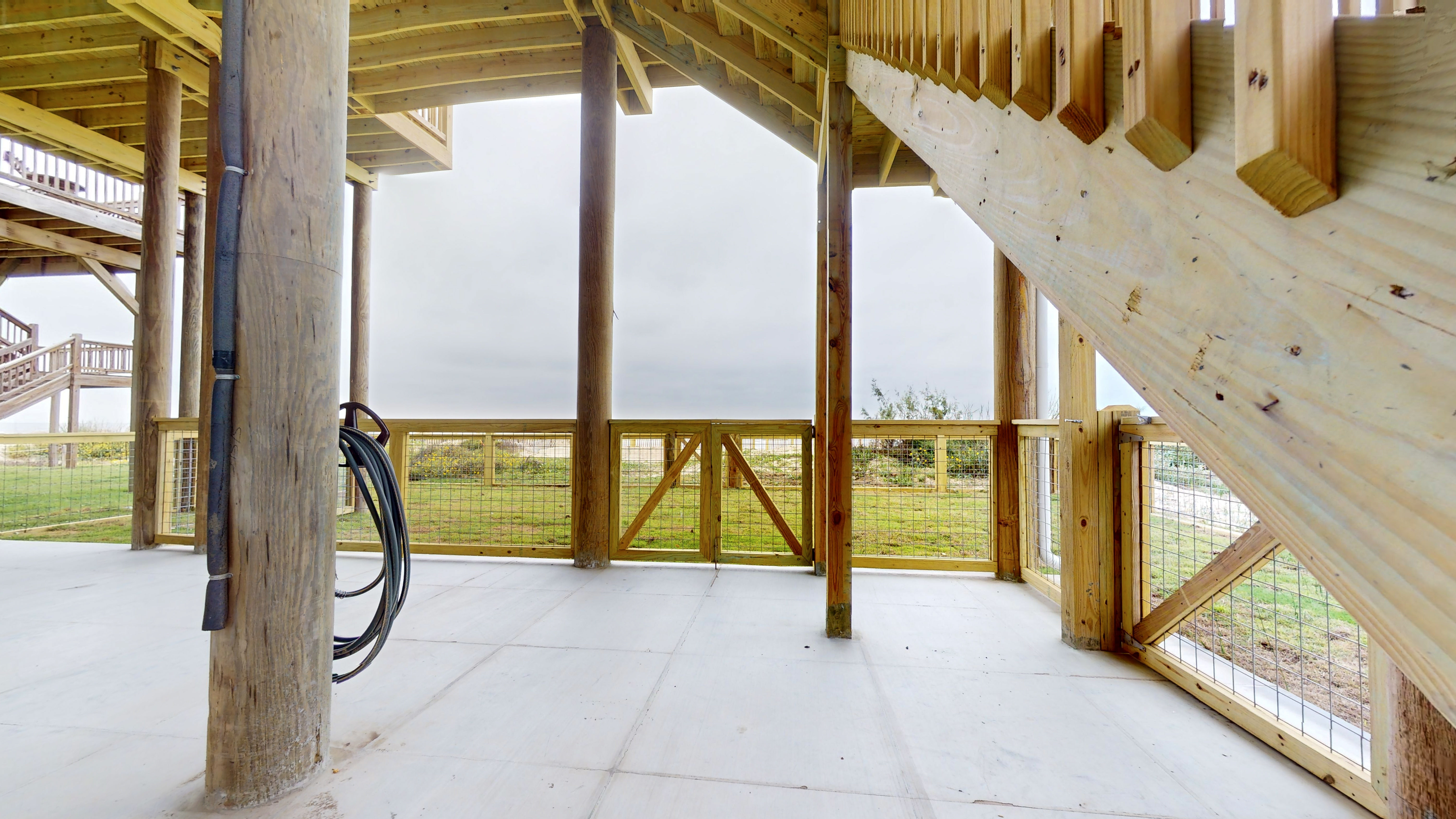 A Whale of A Time | Photo 56