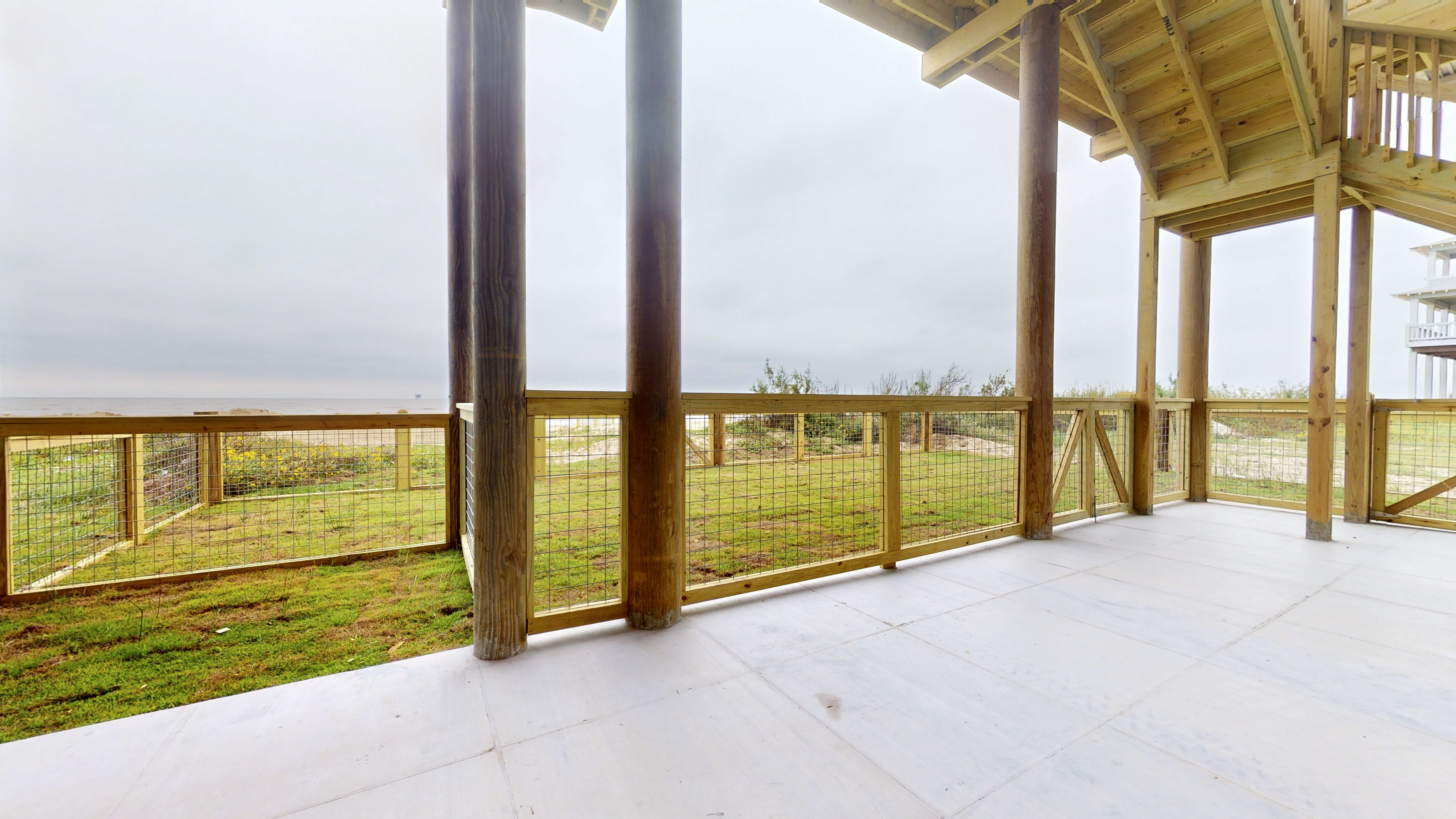 A Whale of A Time | Photo 58