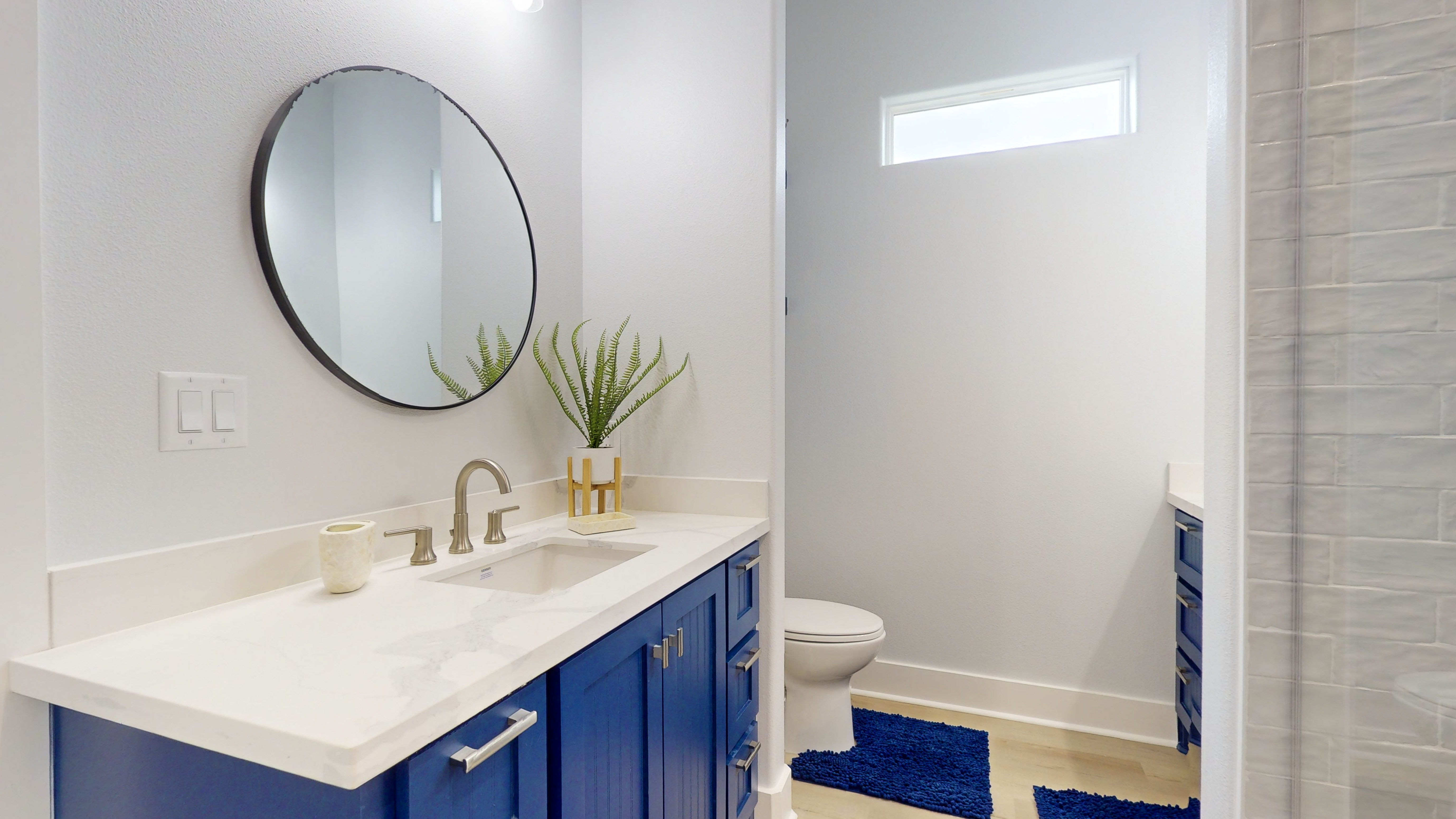 A Whale of A Time | Photo 33