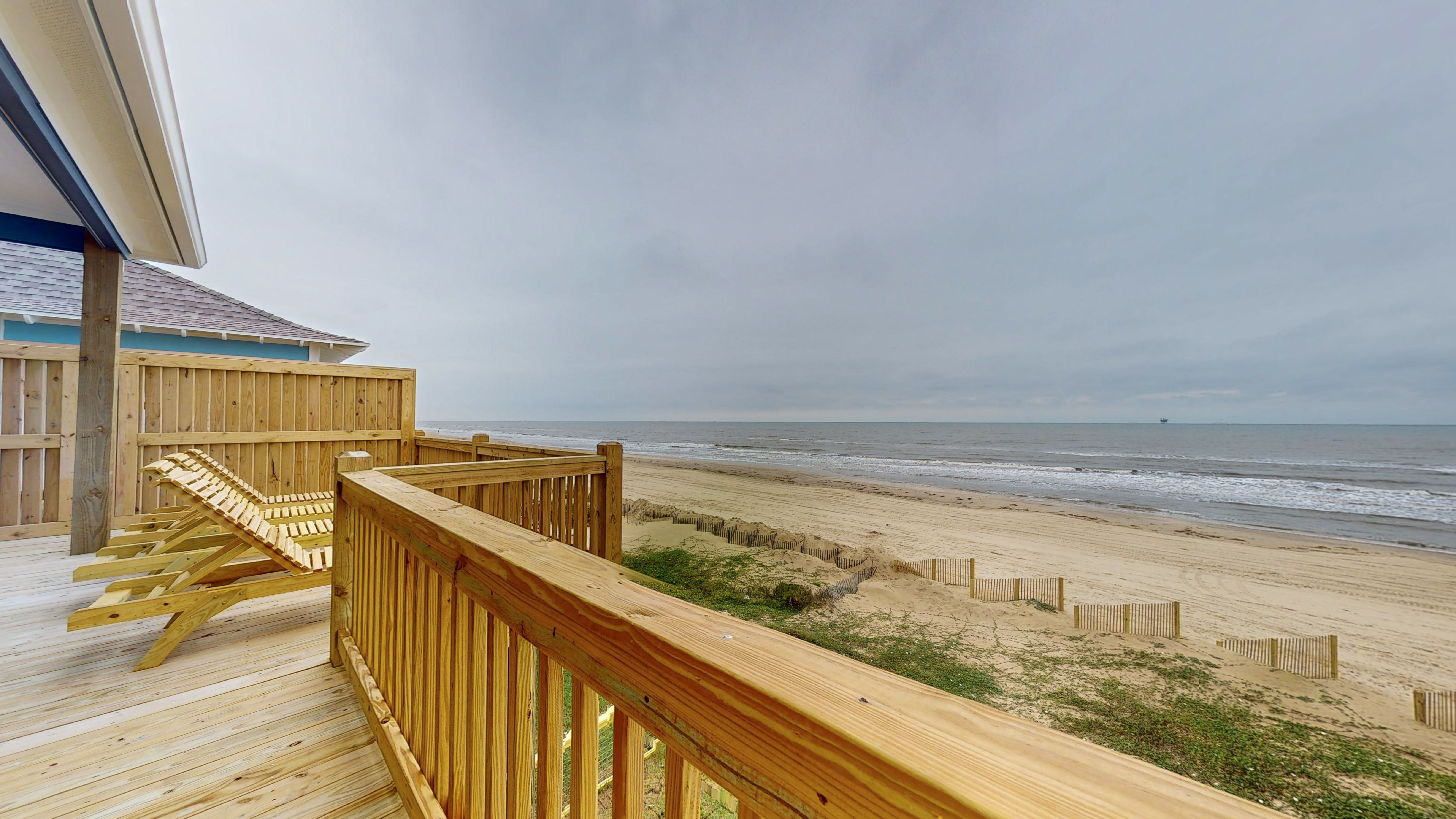 A Whale of A Time | Photo 51