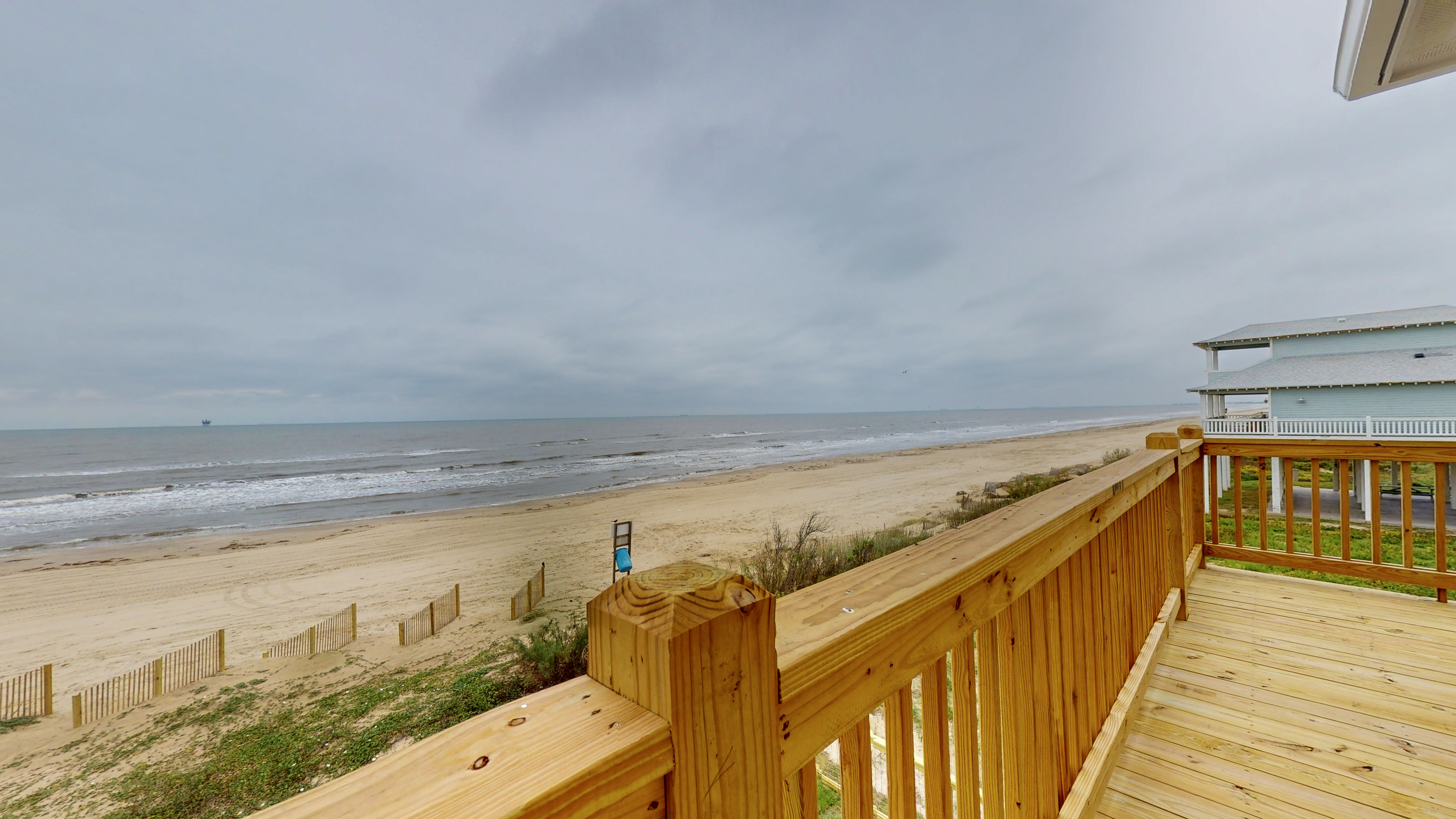 A Whale of A Time | Photo 49