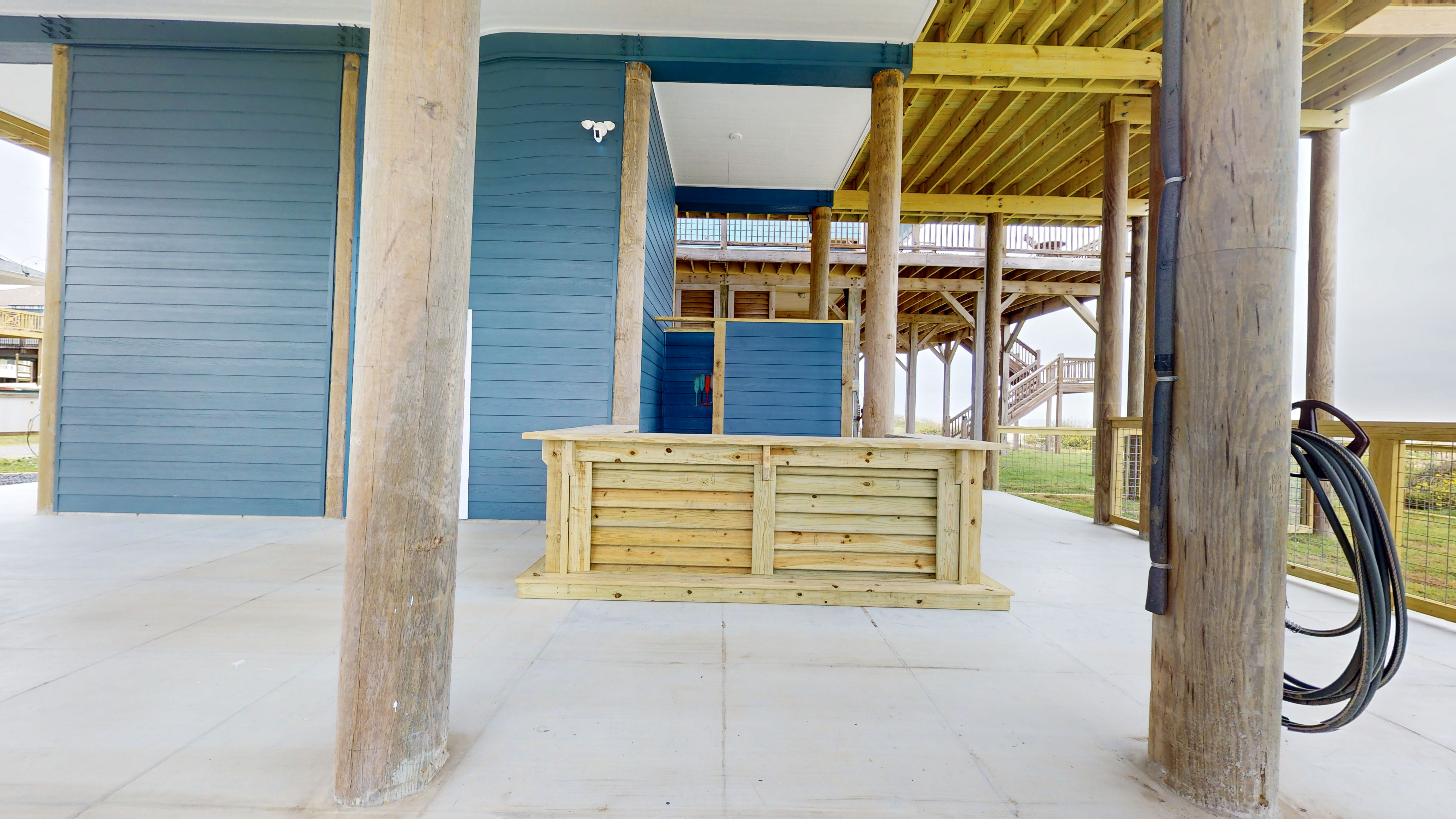 A Whale of A Time | Photo 61