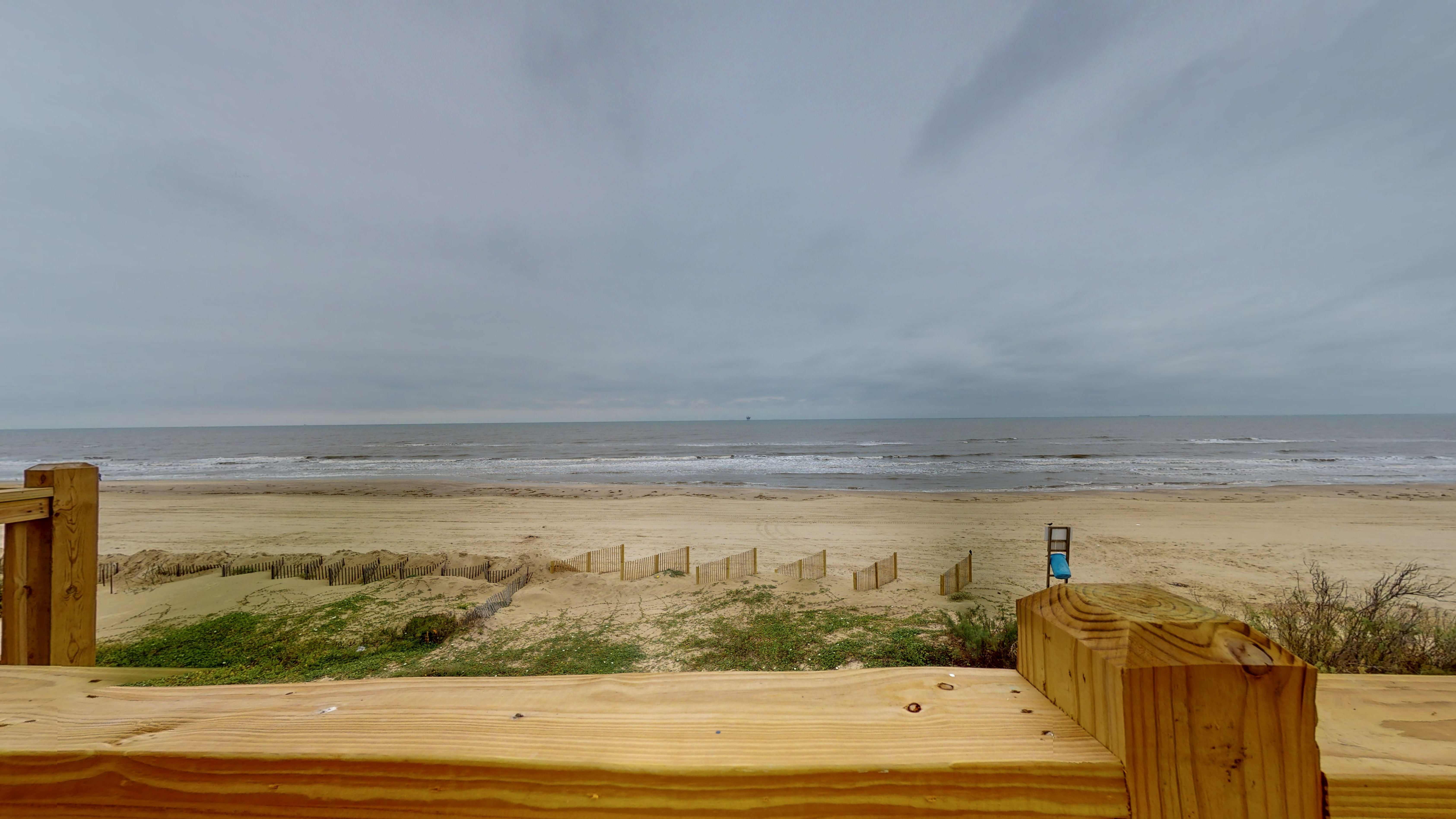 A Whale of A Time | Photo 50