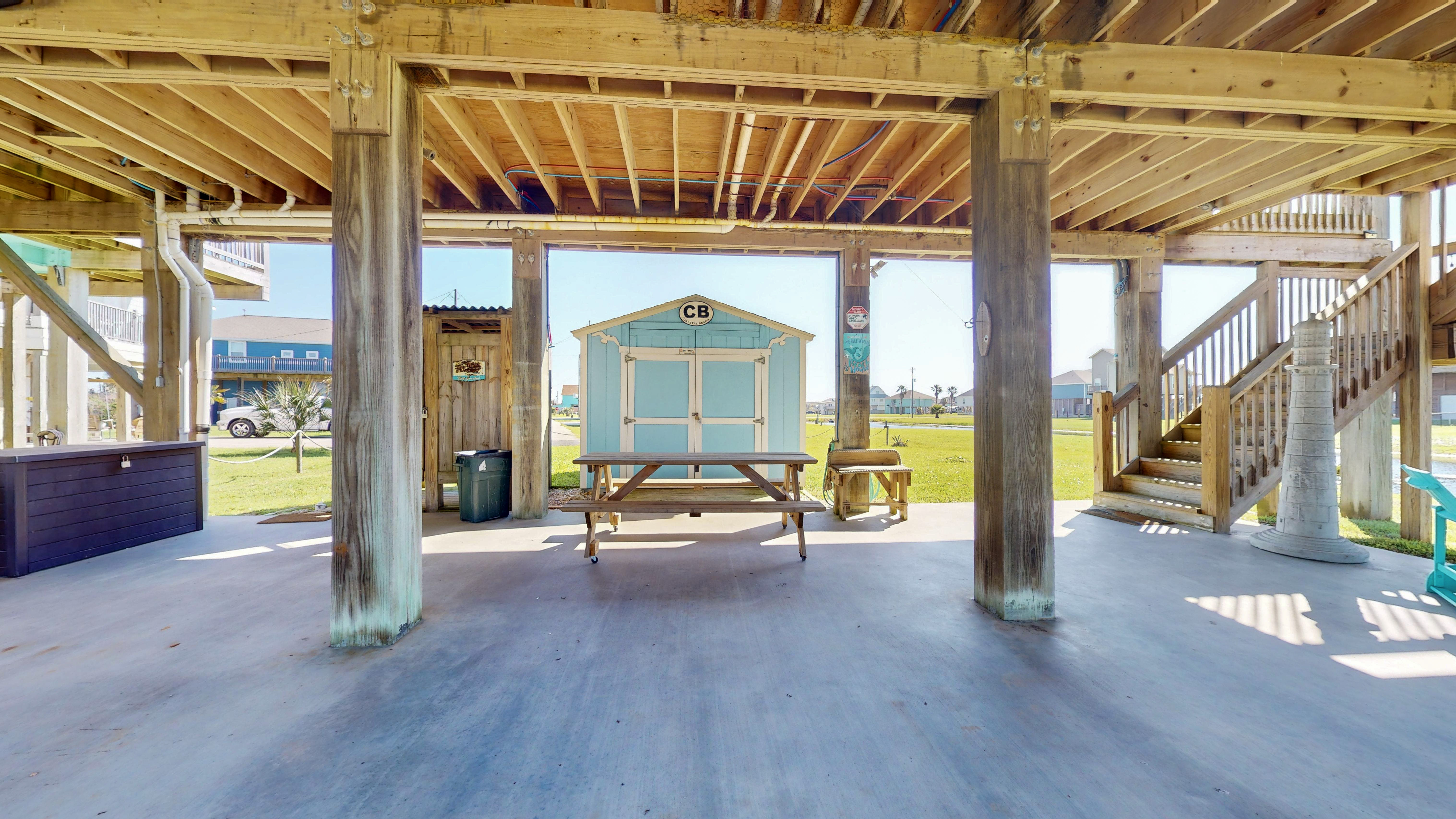 Blue Seagull | Photo 30