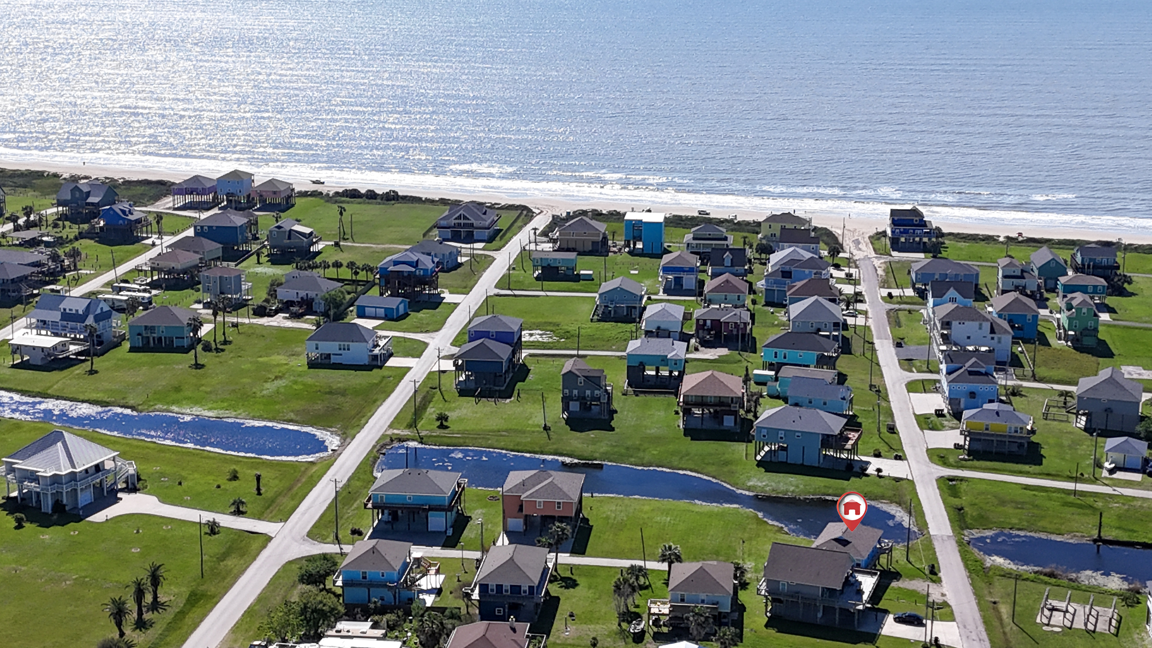 Blue Seagull | Photo 33