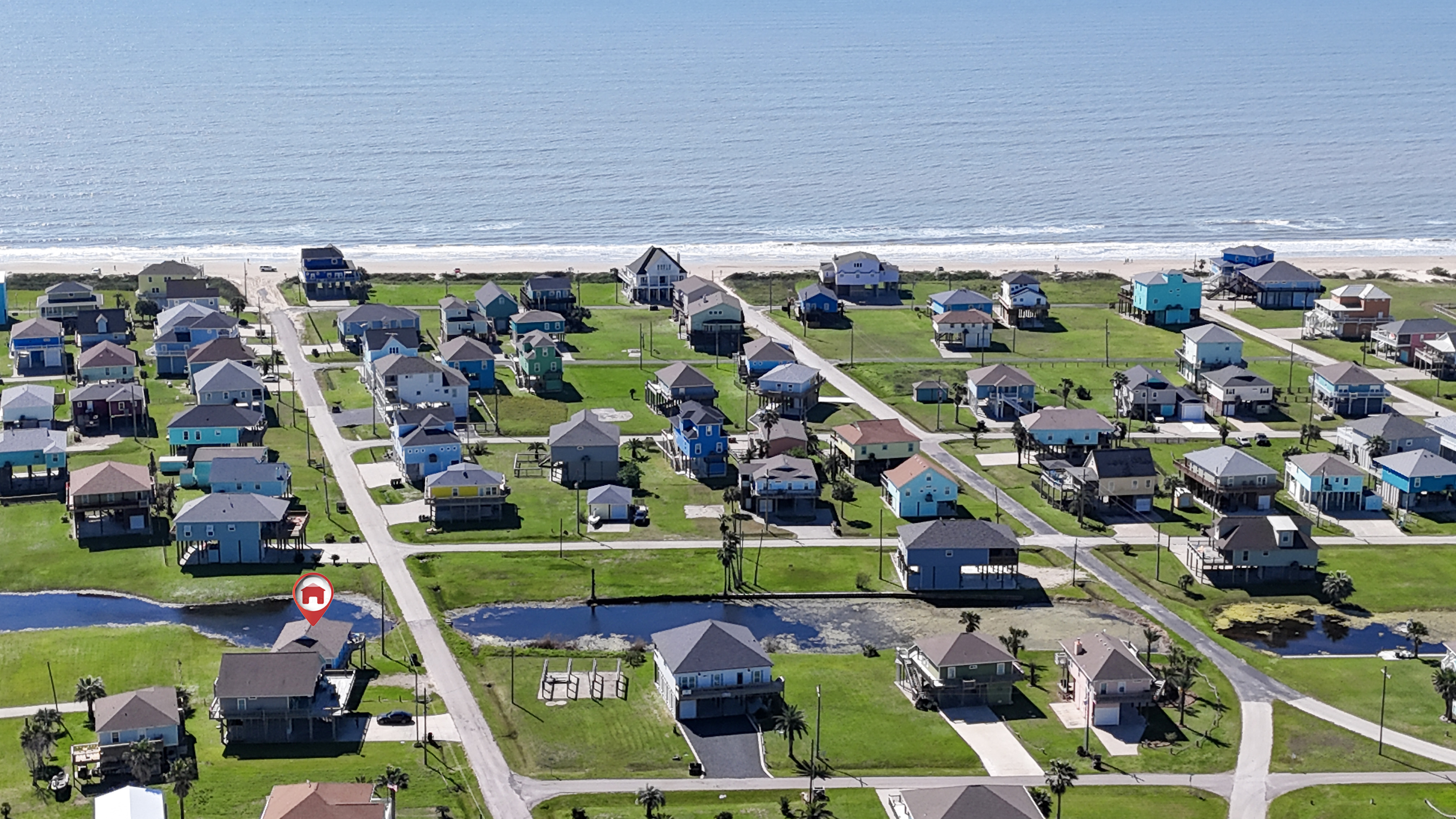 Blue Seagull | Photo 32