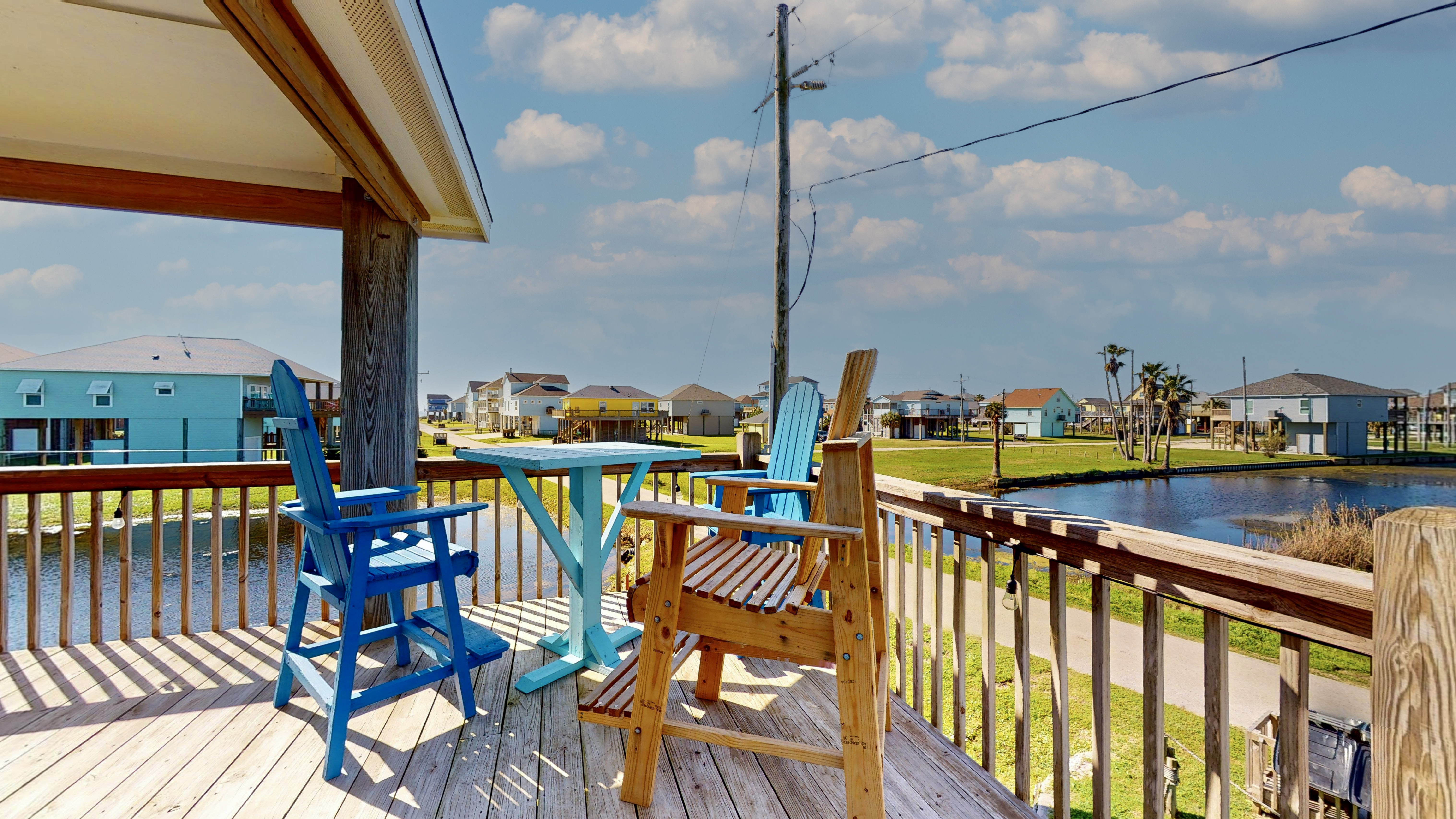 Blue Seagull | Photo 6