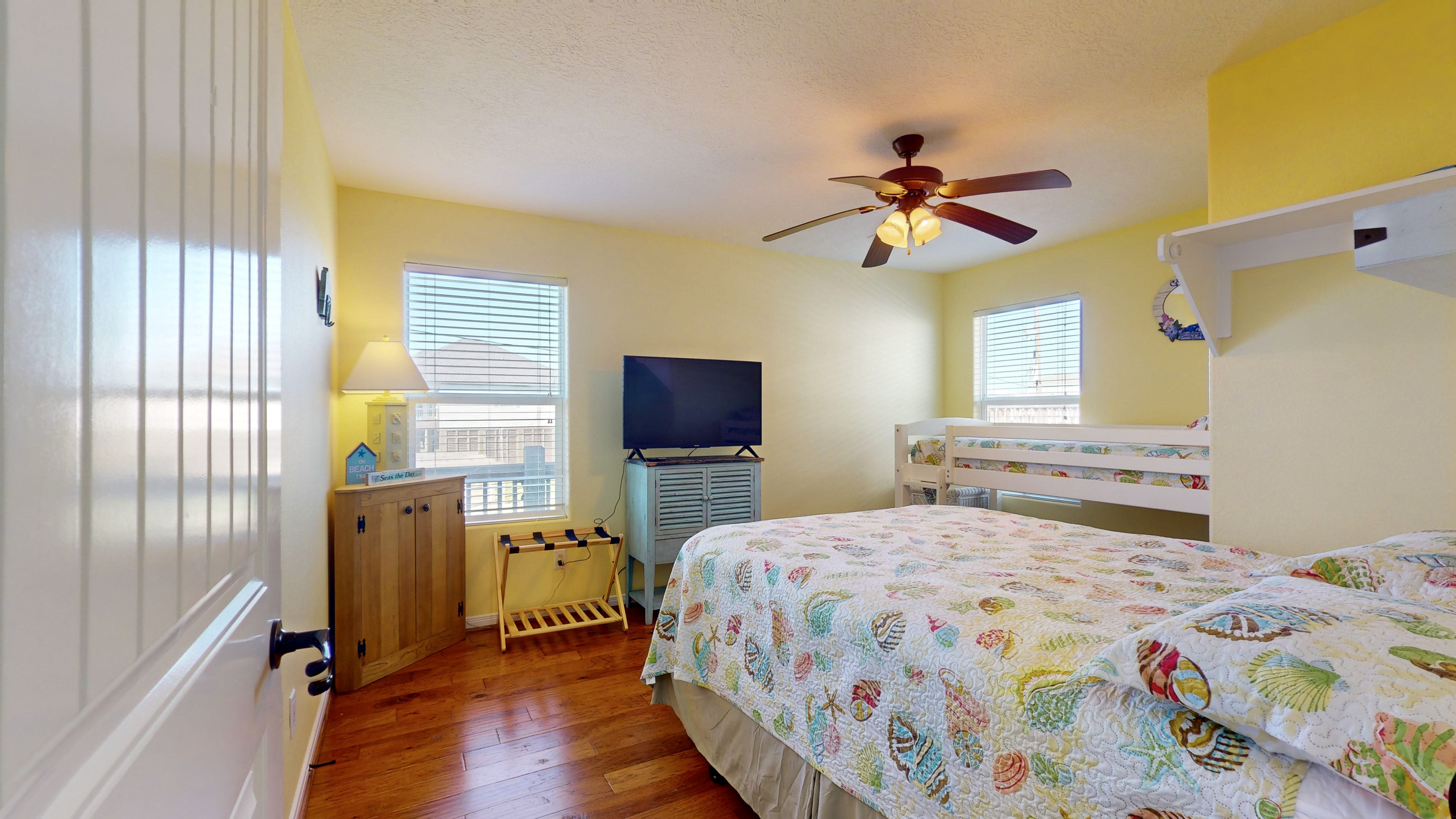 Blue Seagull | Photo 22