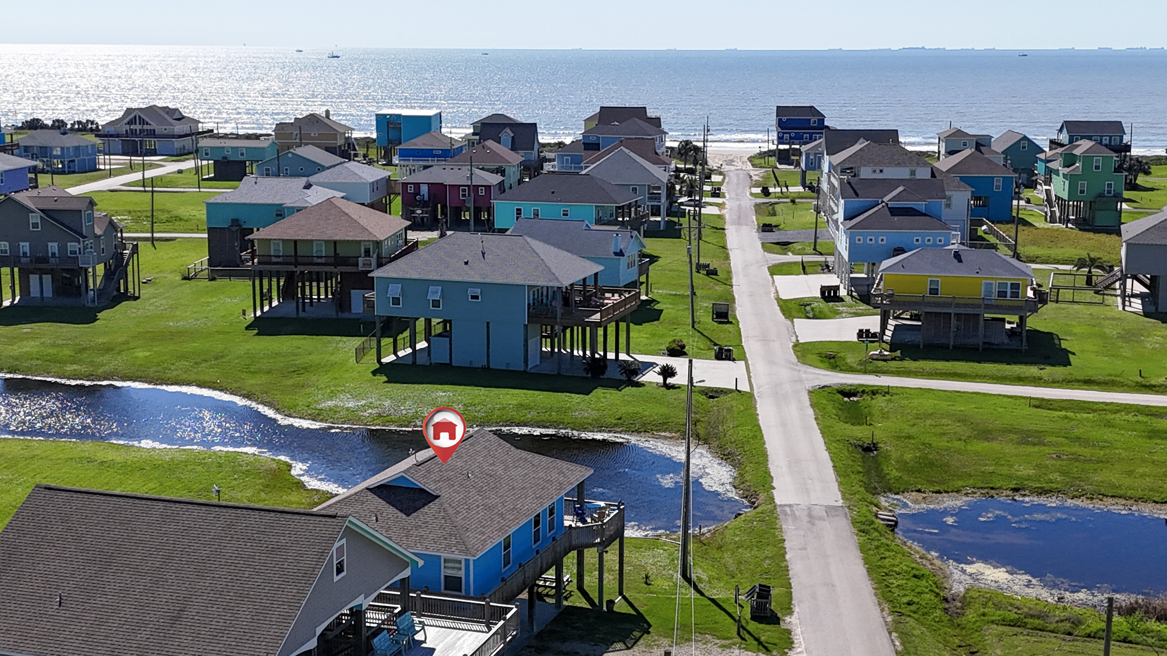 Blue Seagull | Photo 29