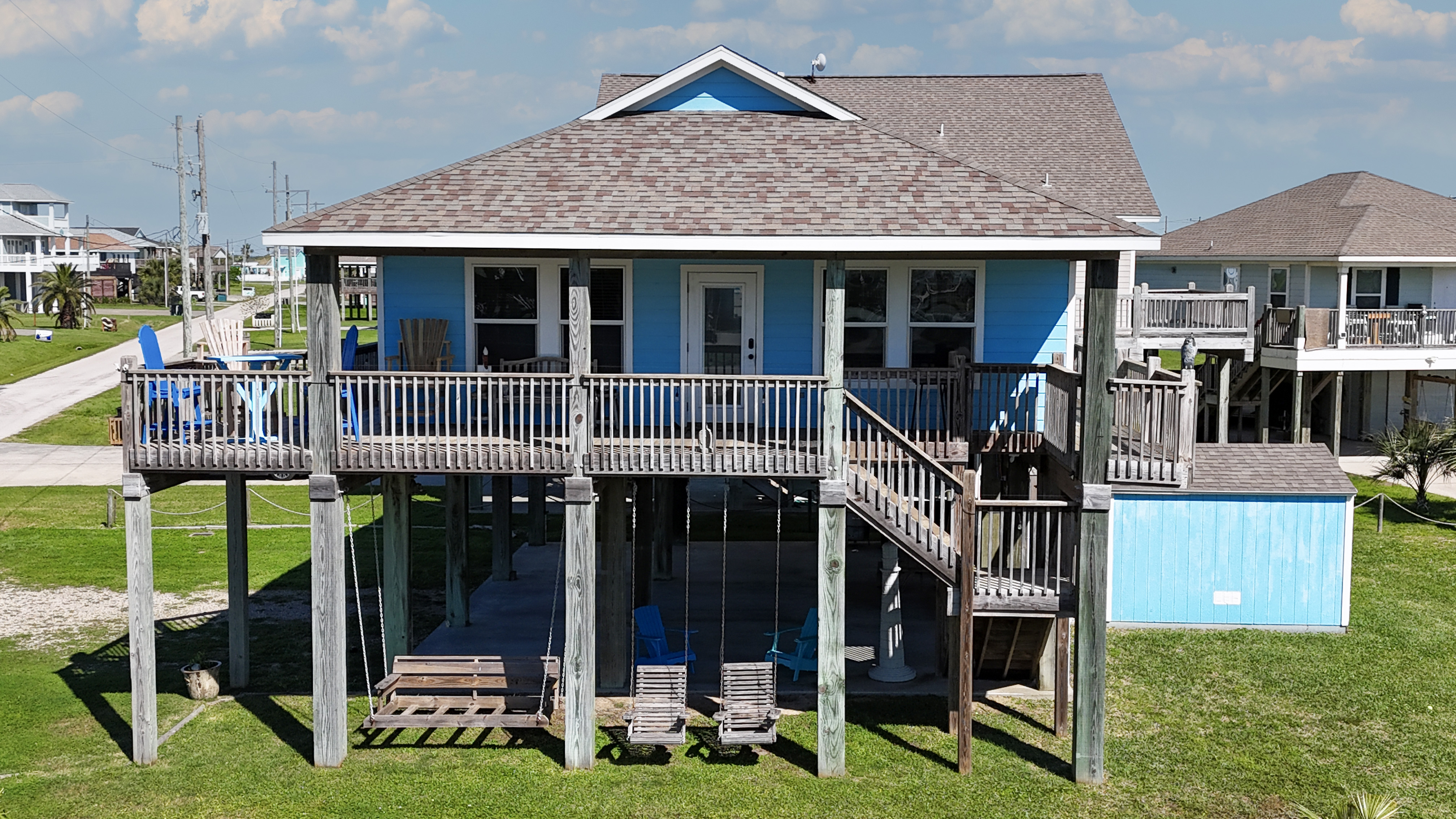 Blue Seagull | Photo 3