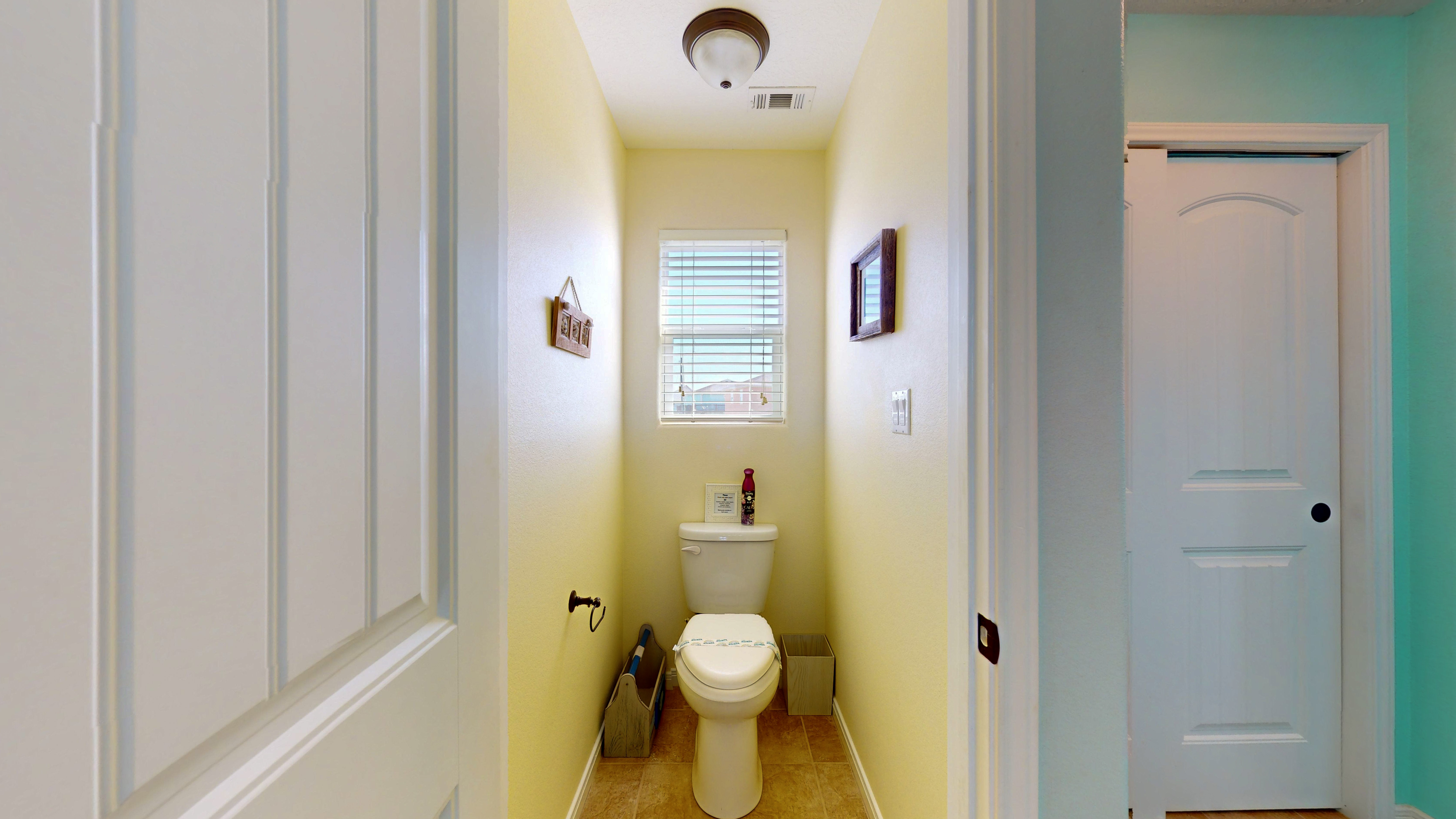 Blue Seagull | Photo 23