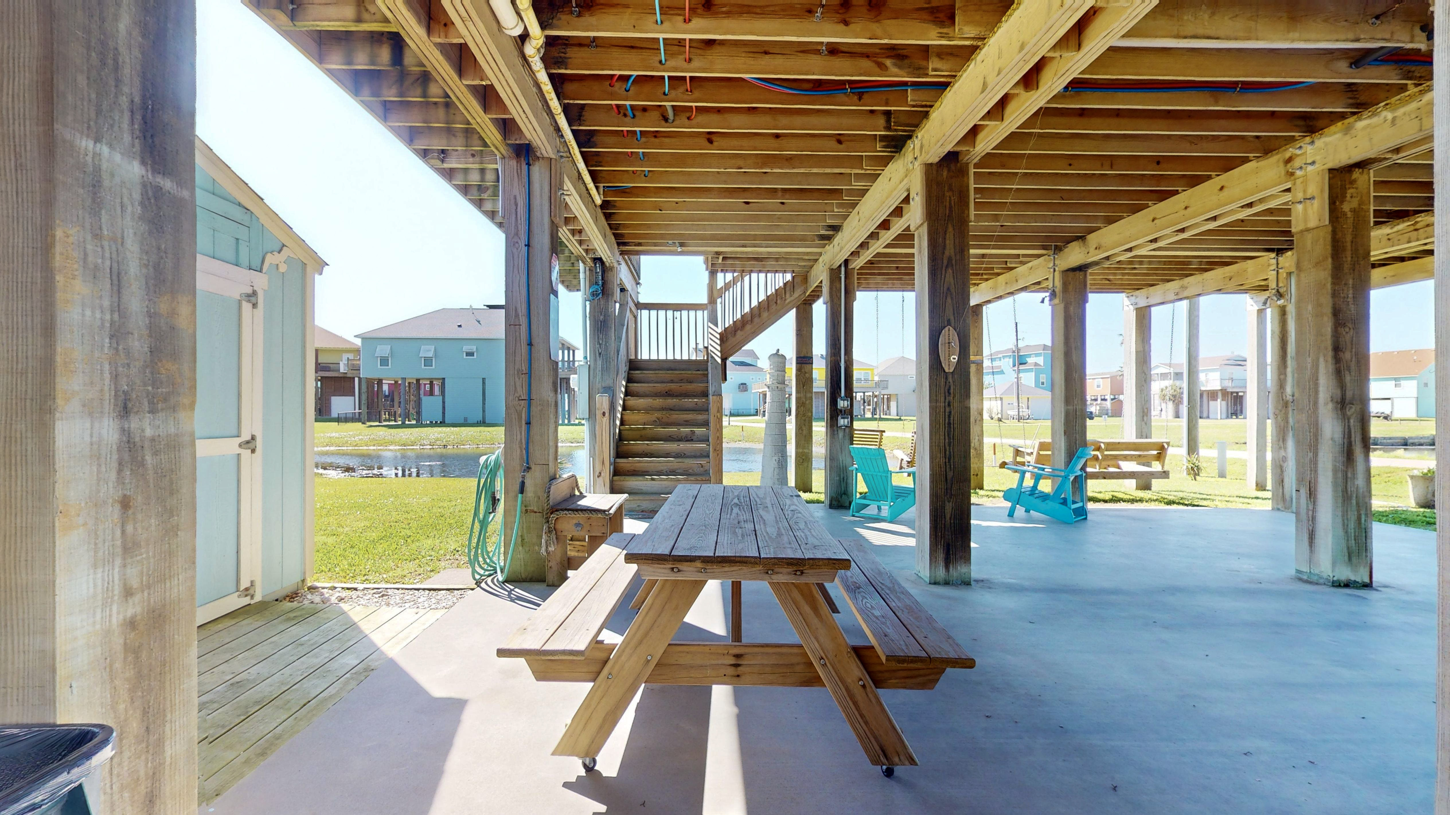 Blue Seagull | Photo 5