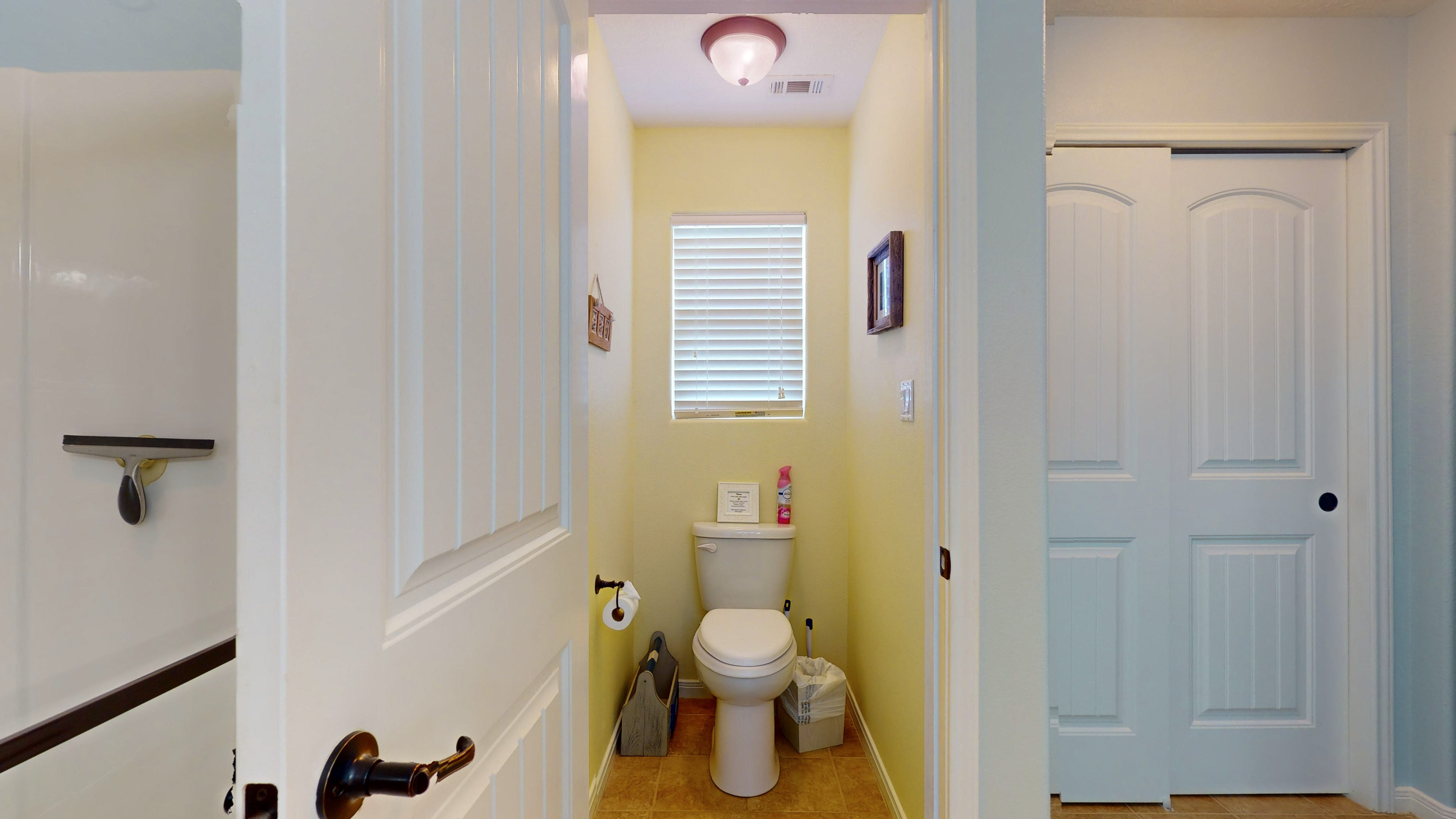 Blue Seagull | Photo 24