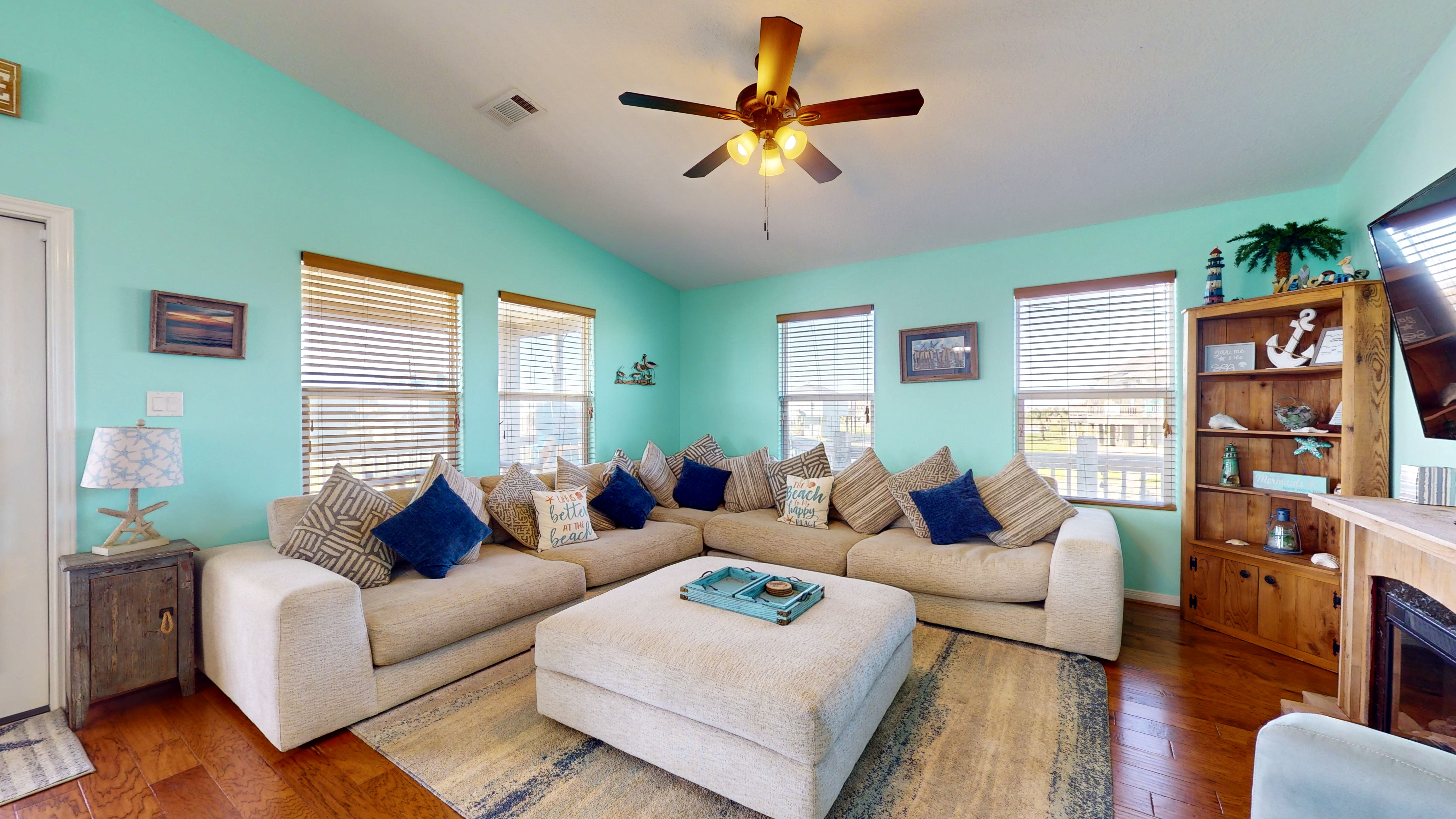 Blue Seagull | Photo 13