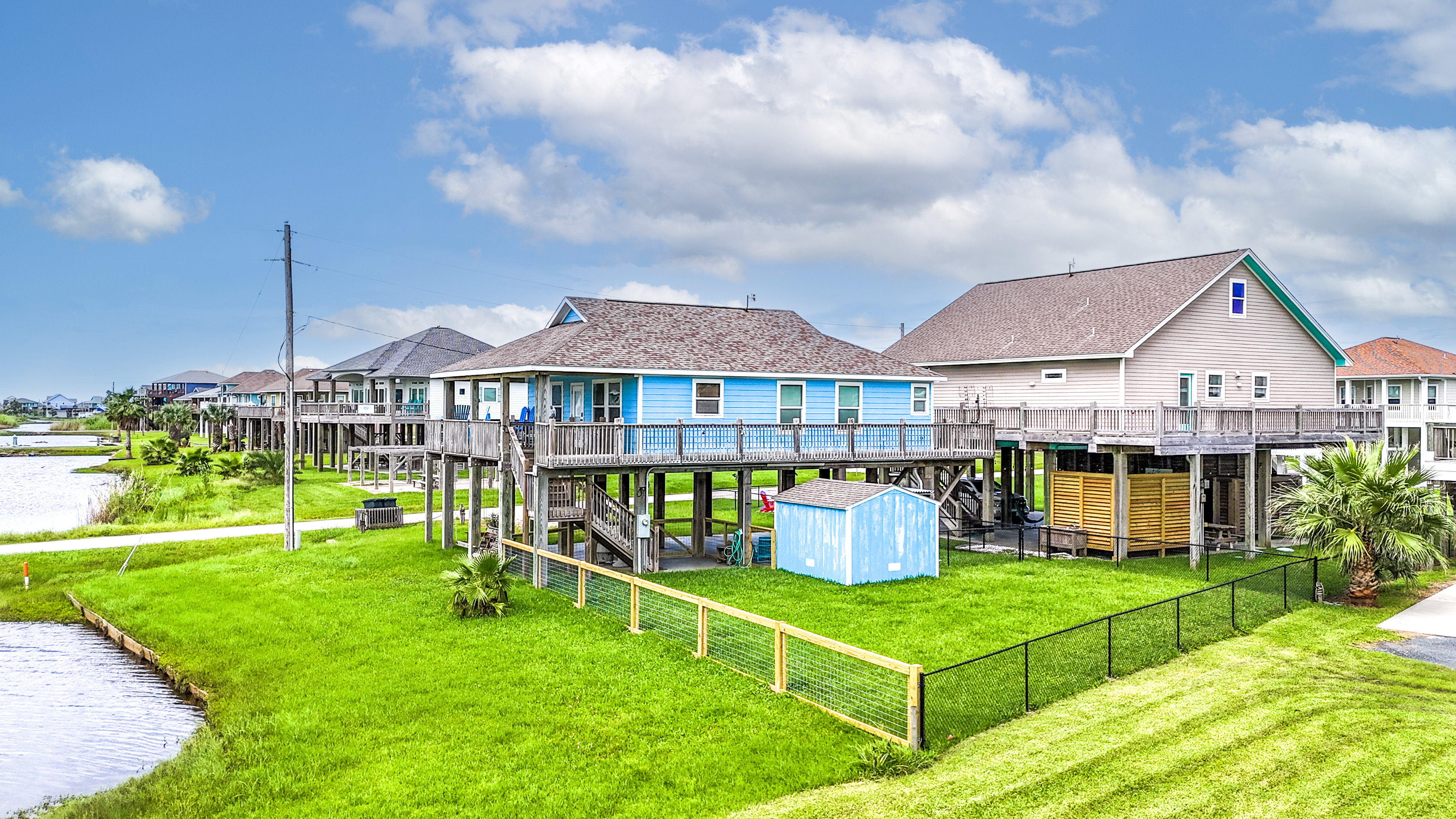 Blue Seagull | Photo 1