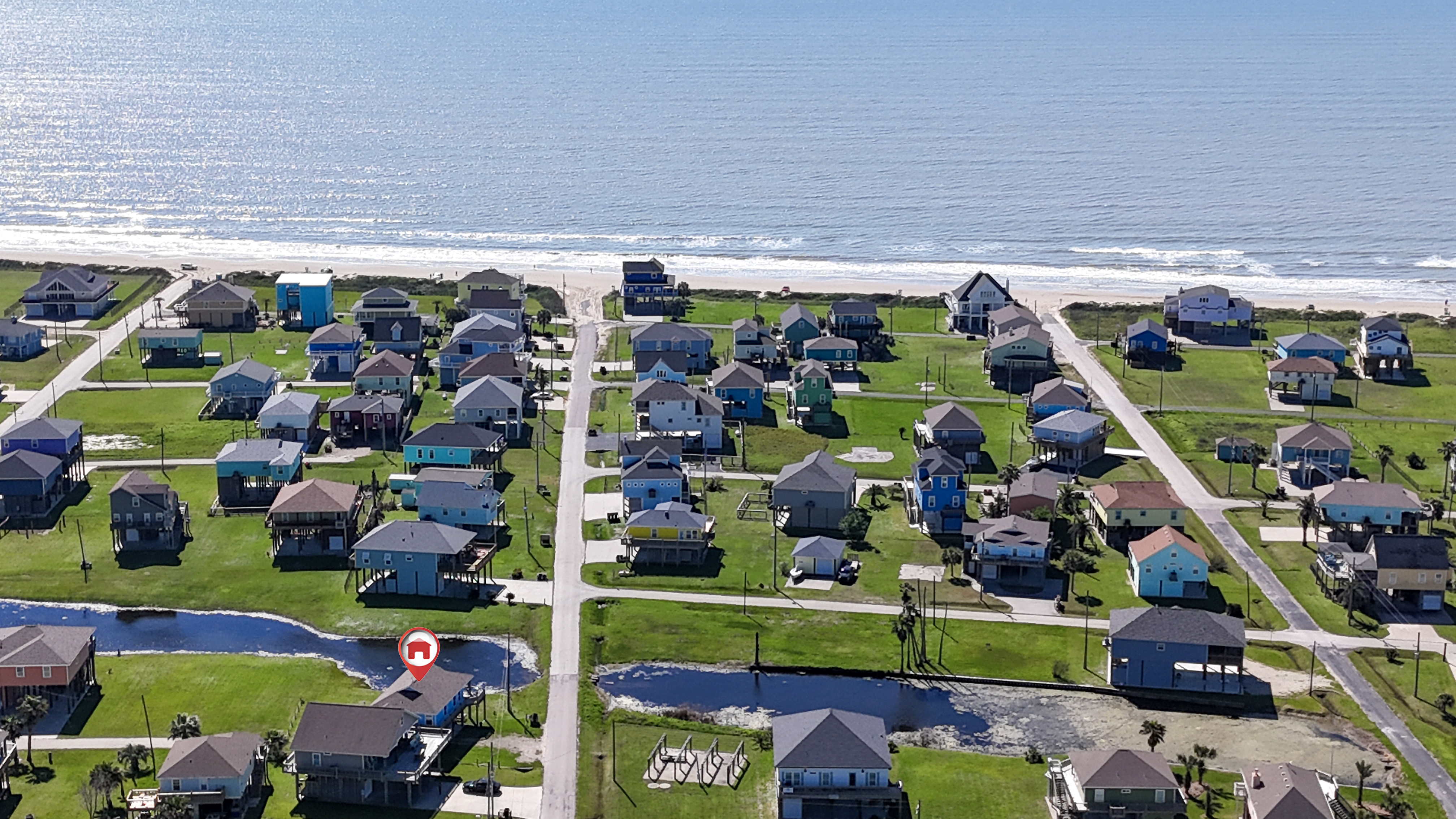 Blue Seagull | Photo 31