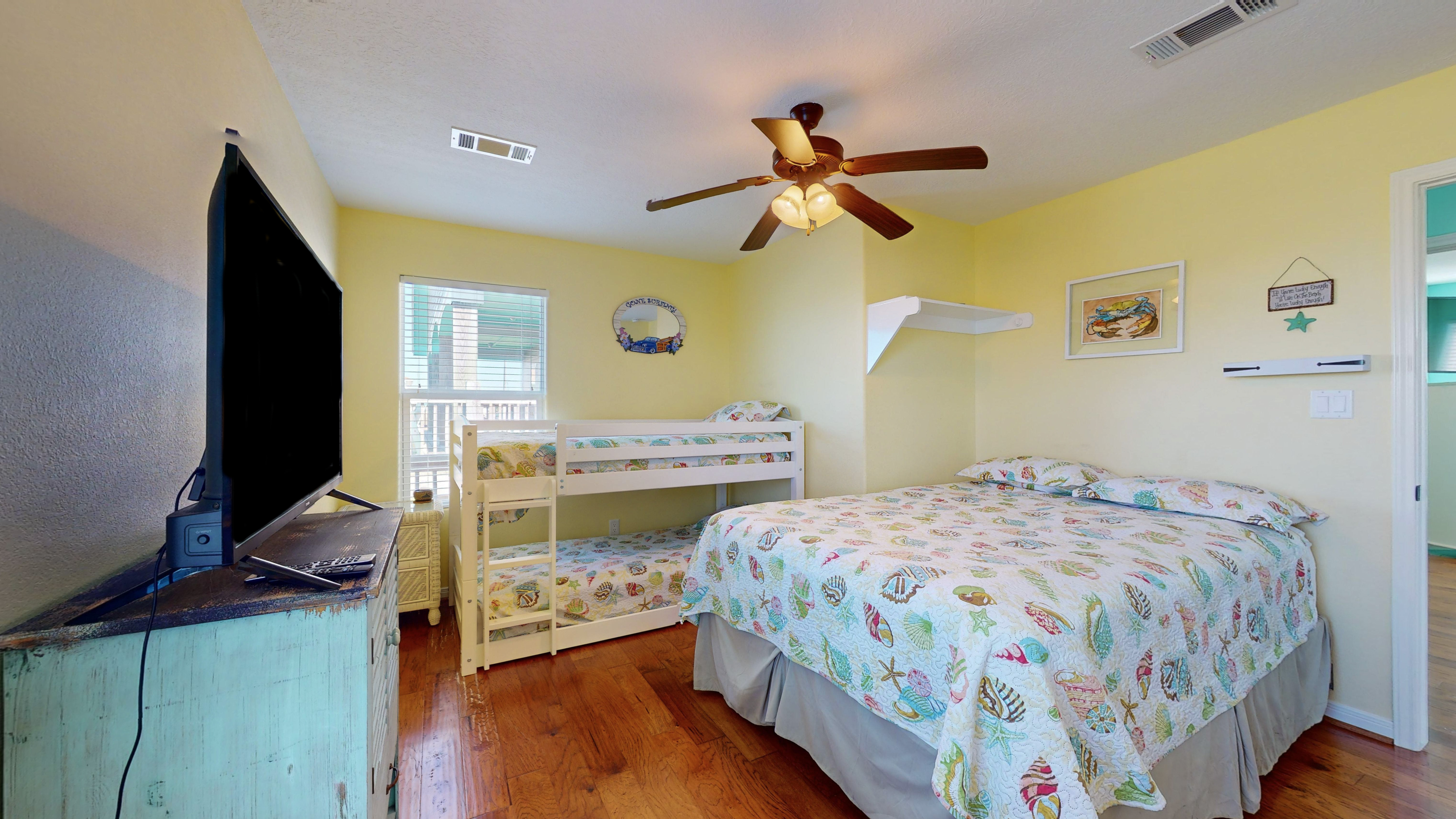 Blue Seagull | Photo 26