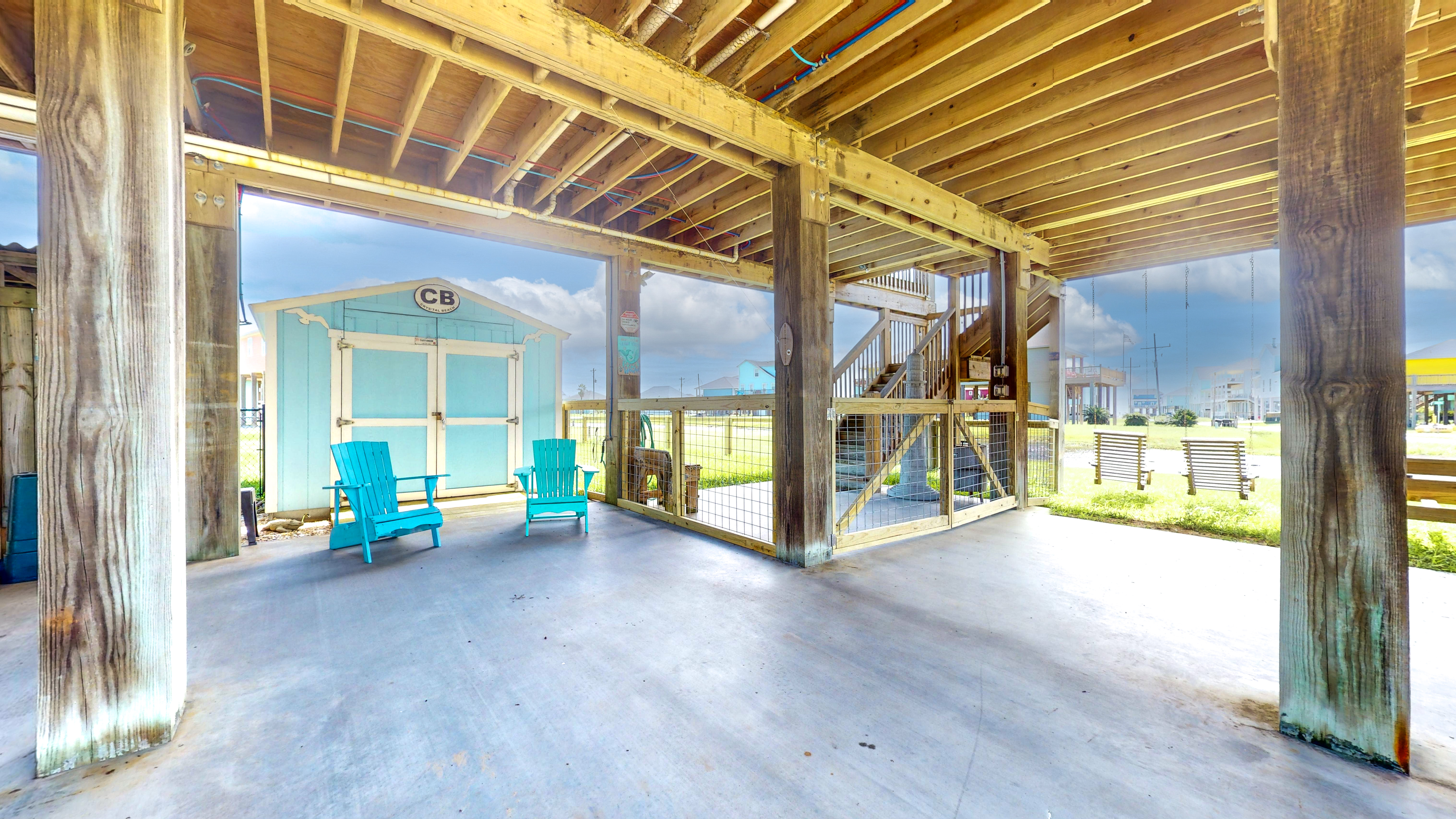 Blue Seagull | Photo 2