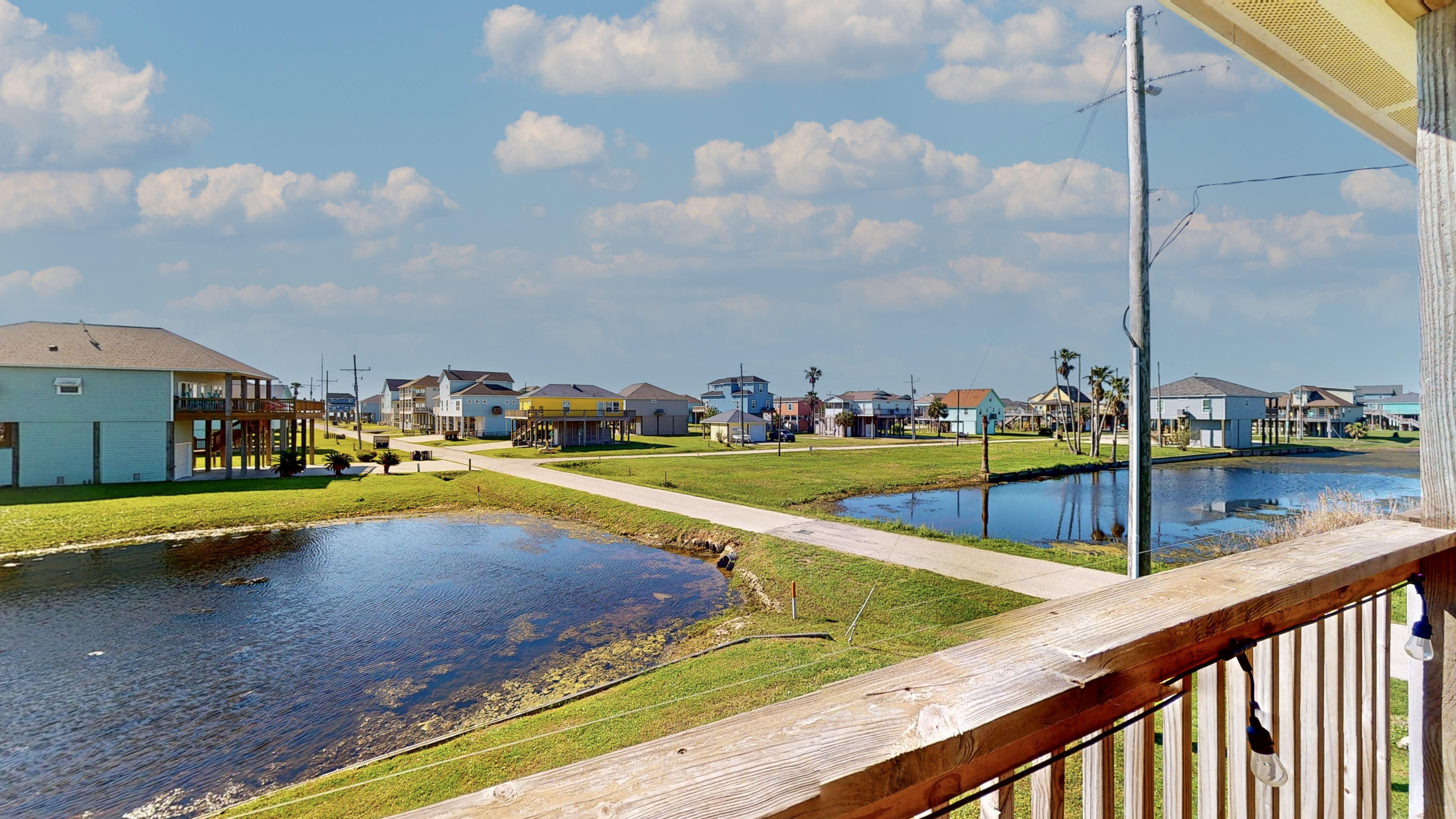 Blue Seagull | Photo 8