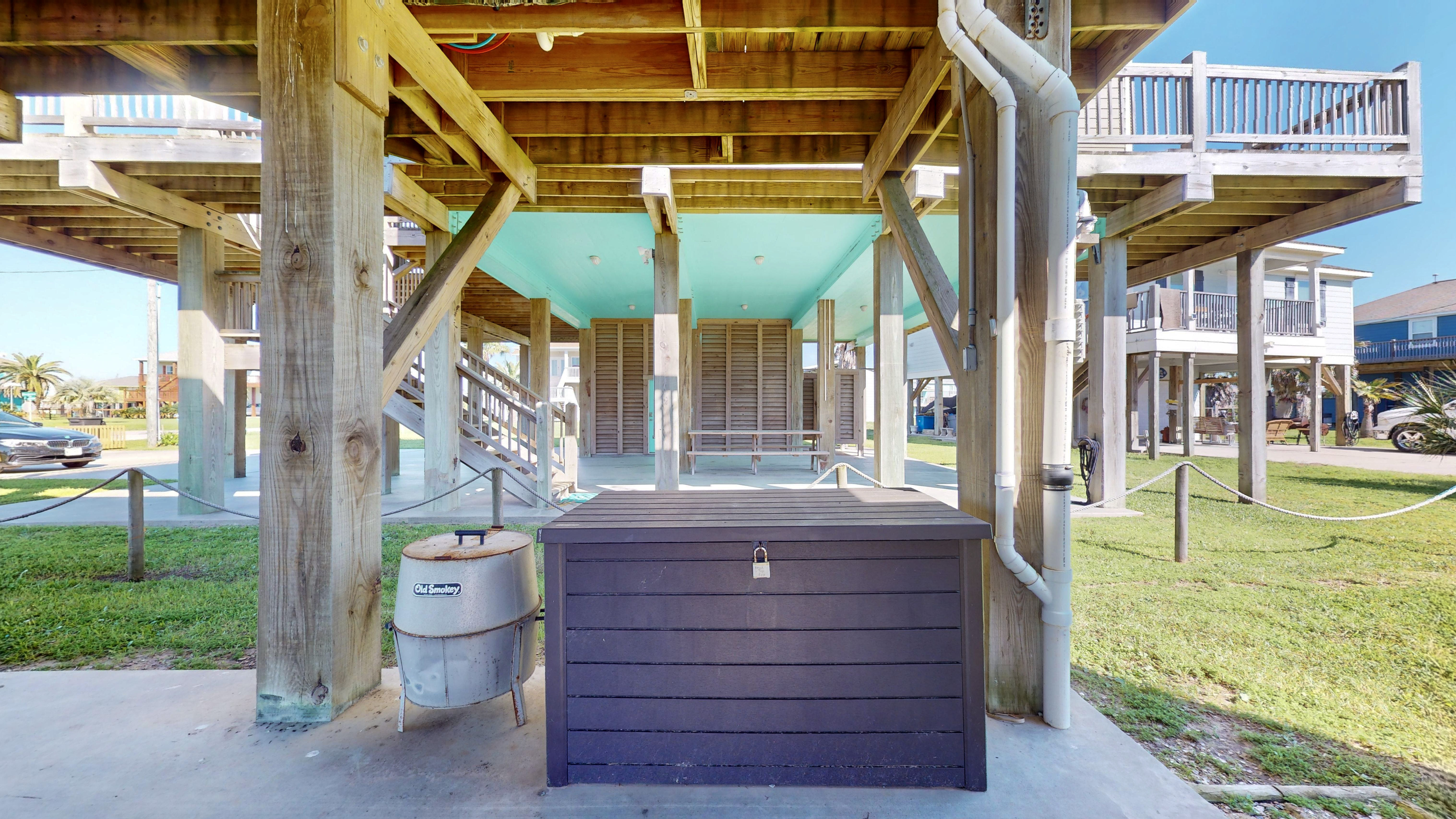 Blue Seagull | Photo 28