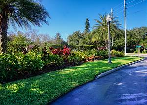 Landscaping along the entry and exit of this Gated Gulfport Community of Villas Del Verde