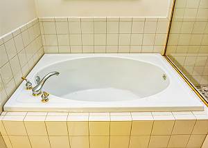 Master bath soaking tub