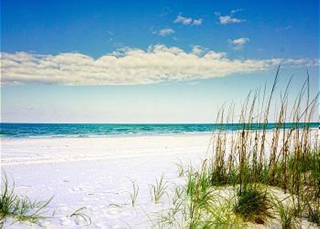 Pass-A-Grille St Pete Beach 4/2.5 WiFi Parking