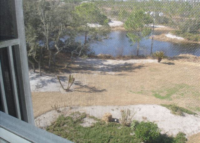 View from the screen porch