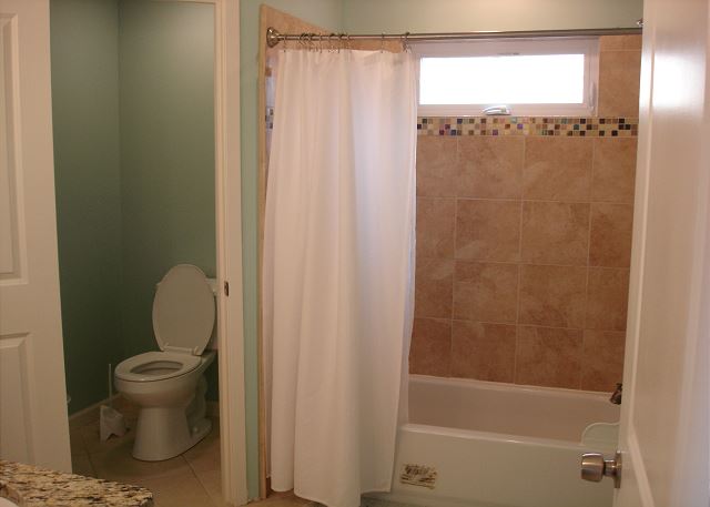Master tub/shower