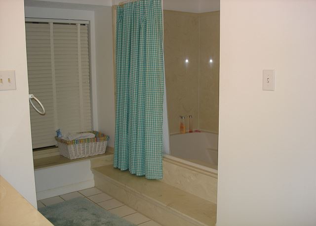 Master bathroom