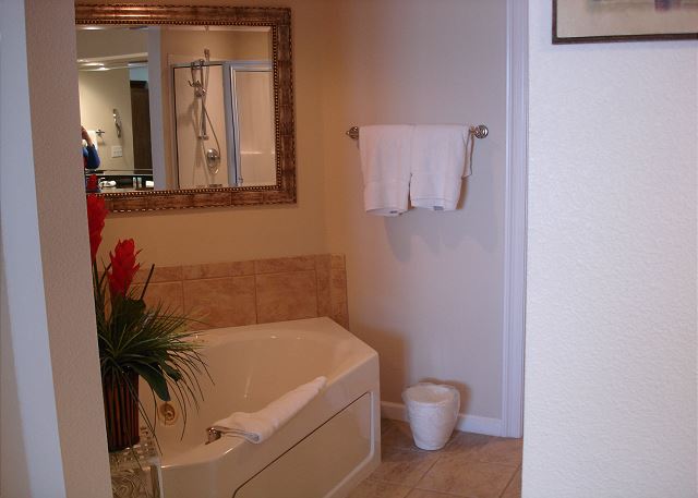 Garden tub in master bath