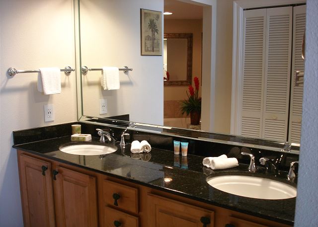 Master double sinks