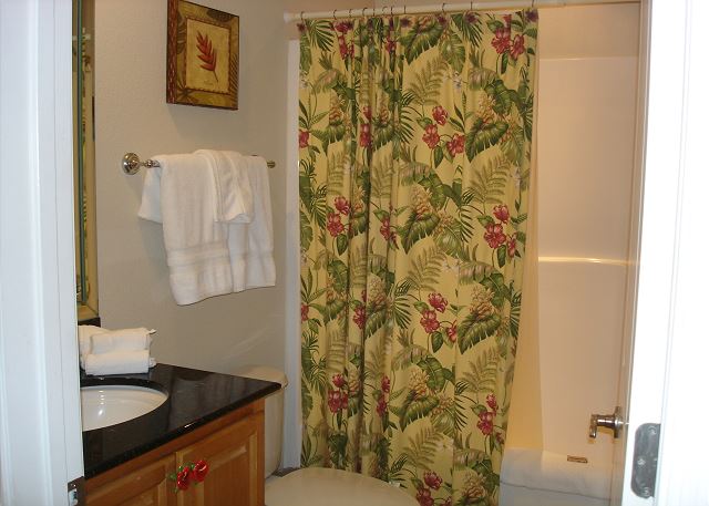 Guest bathroom