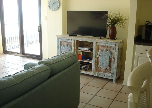 Living room tv