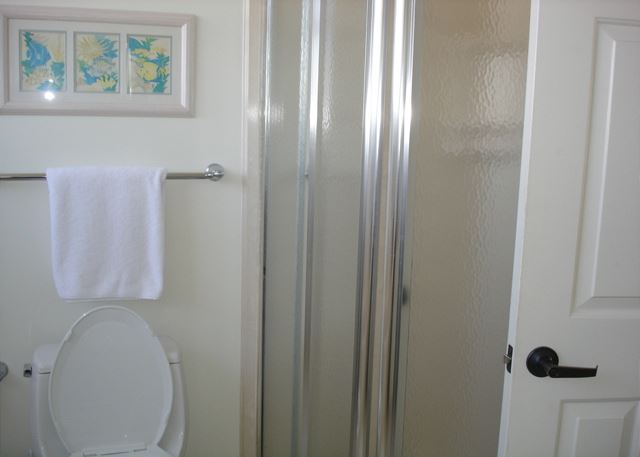Master shower