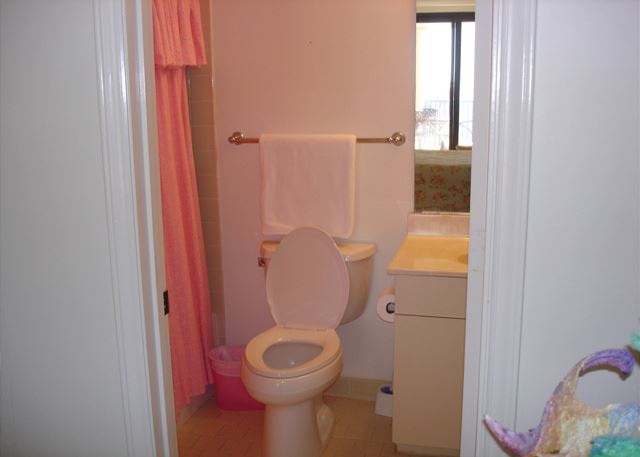 Guest adjoining bathroom