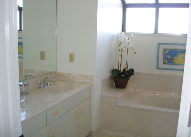 Master bathroom