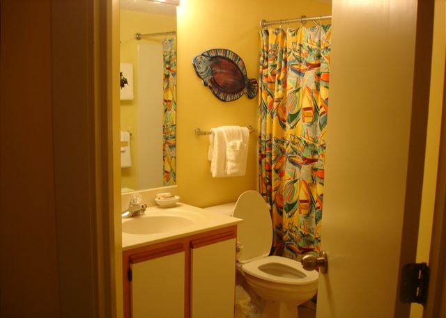 Guest bathroom