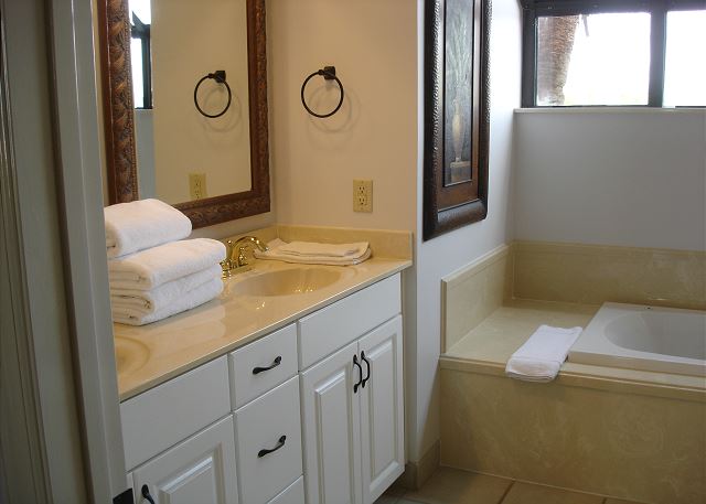 Master double sinks