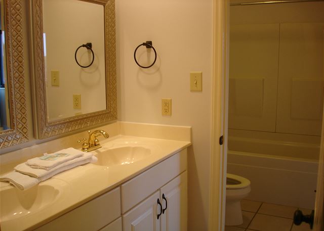 Adjoining guest bathroom