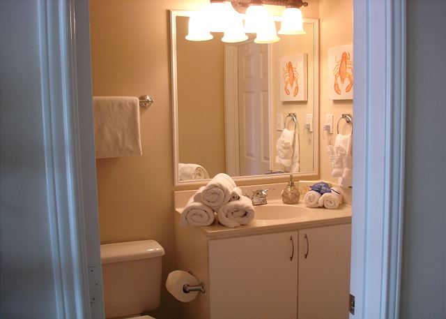 Guest bathroom