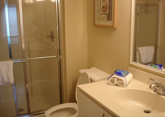 Guest bath that adjoins guest