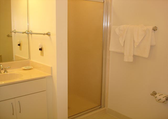 Master walk in shower